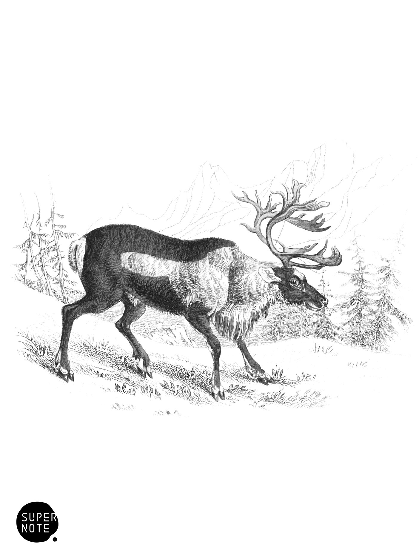 Rein-Deer (vol-11 plate-6).png