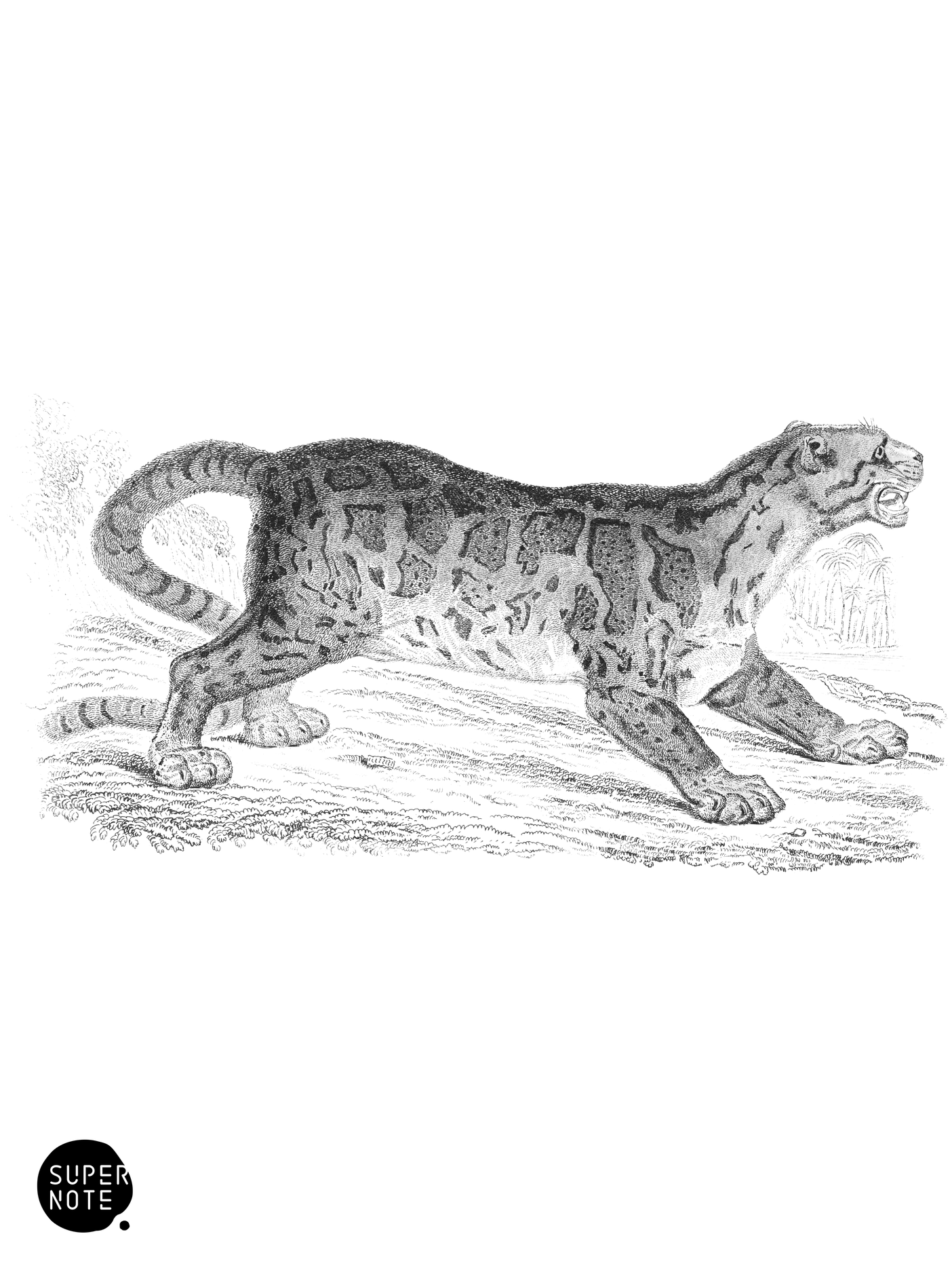 Rimau-Dahan (vol-04 plate-9).png