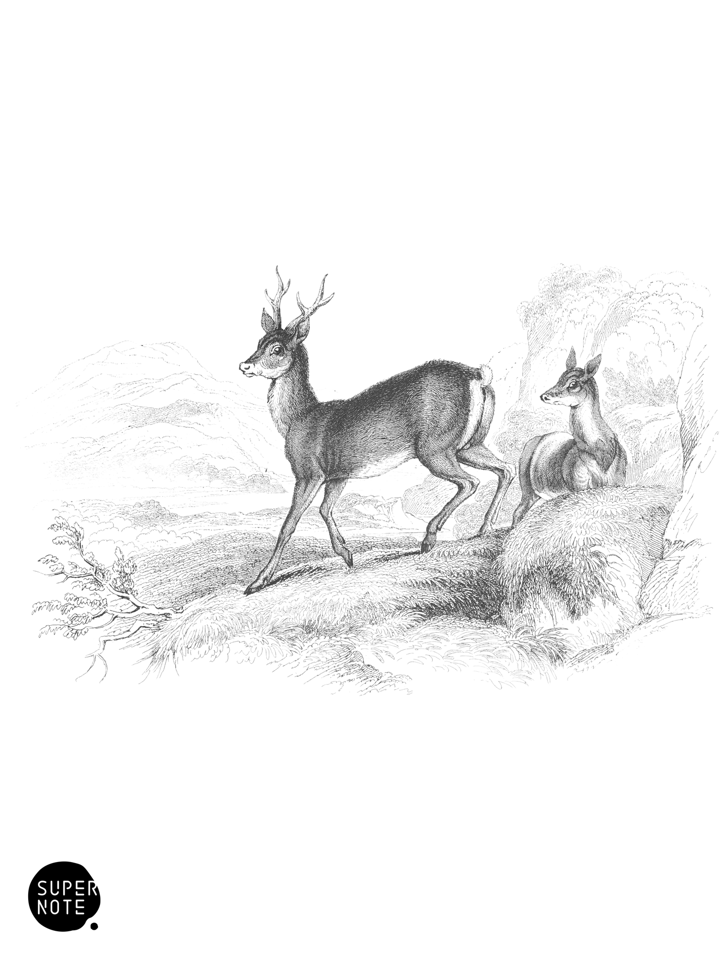 Roe Deer (vol-22 plate-34).png