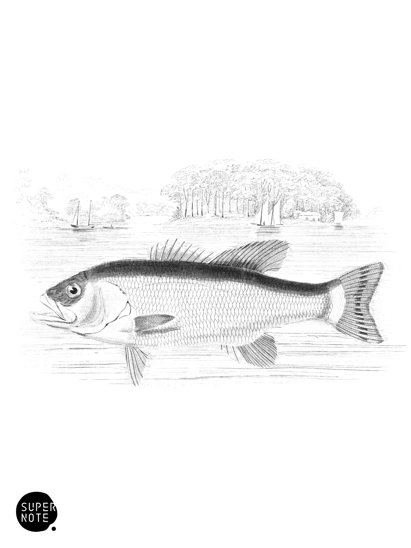Salmon-Formed Growler (vol-07 plate-29).png