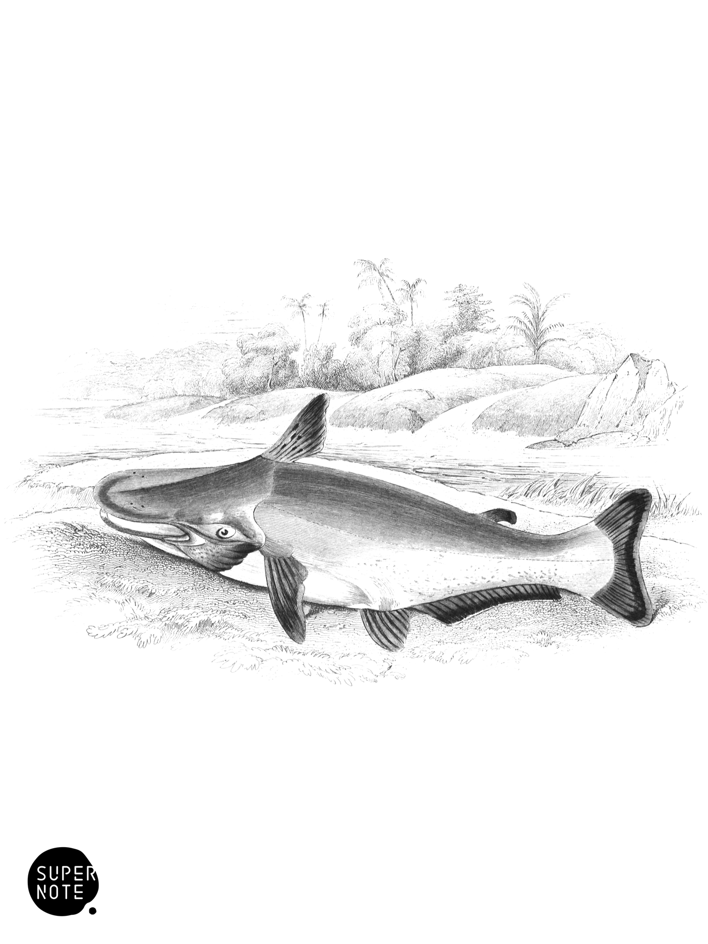 Sawalla of the Arawaaks (vol-32 plate-9).png