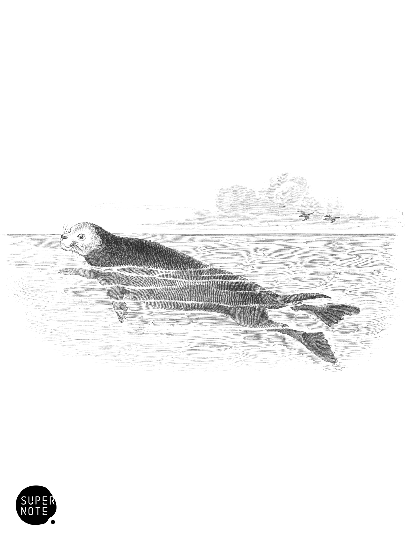 Sea Otter (vol-35 plate-20-star).png