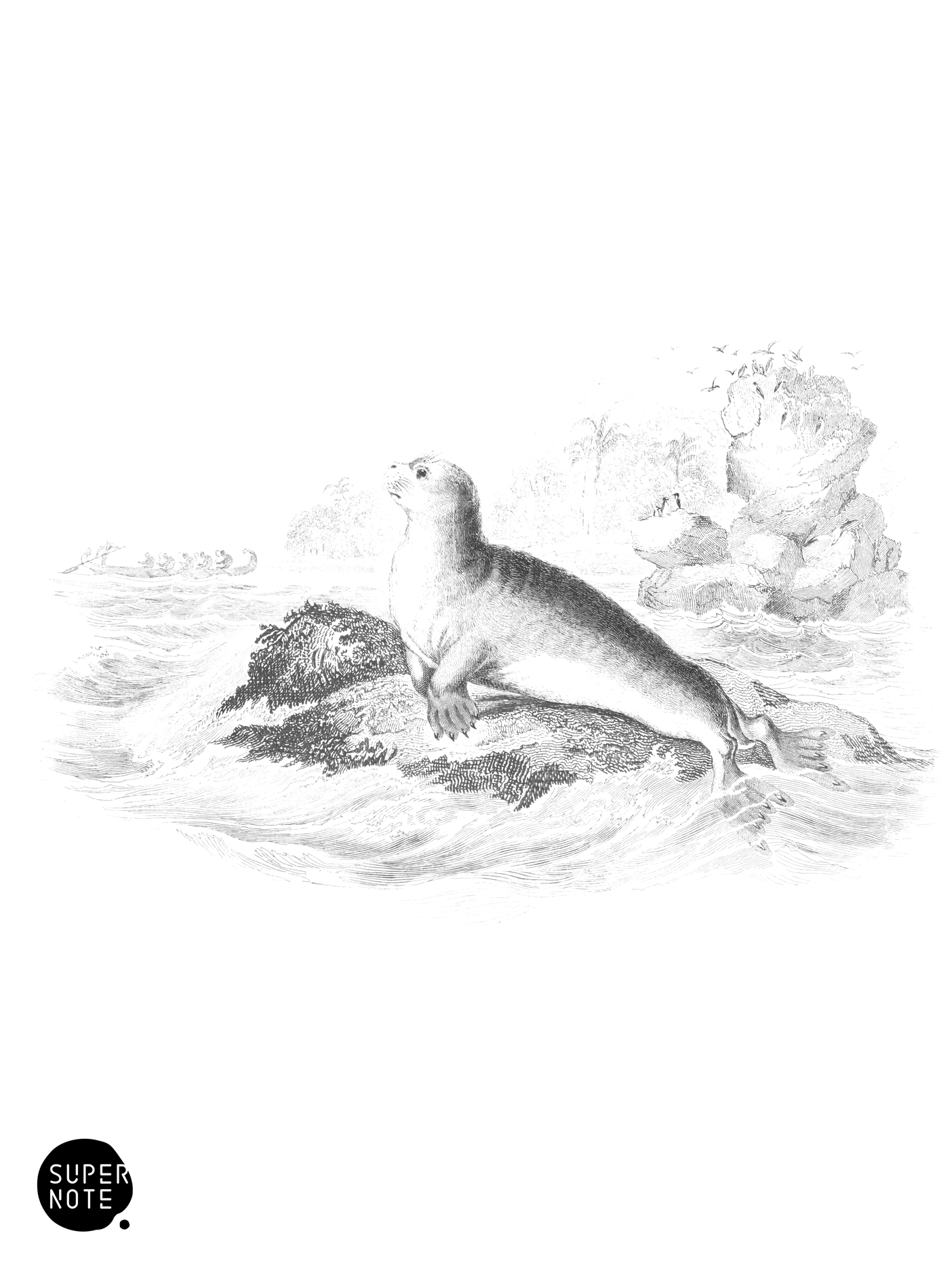 Small-Nailed Seal (vol-23 plate-11).png