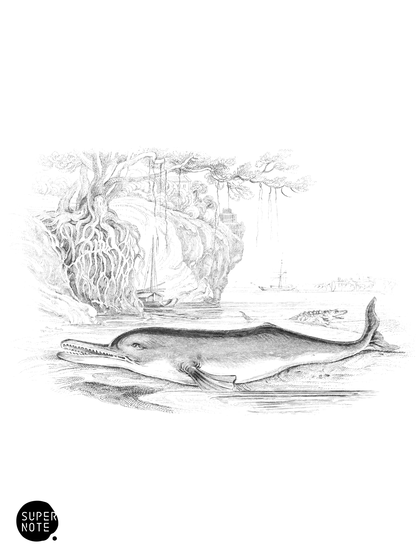 Soosoo of the Ganges (vol-16 plate-28).png