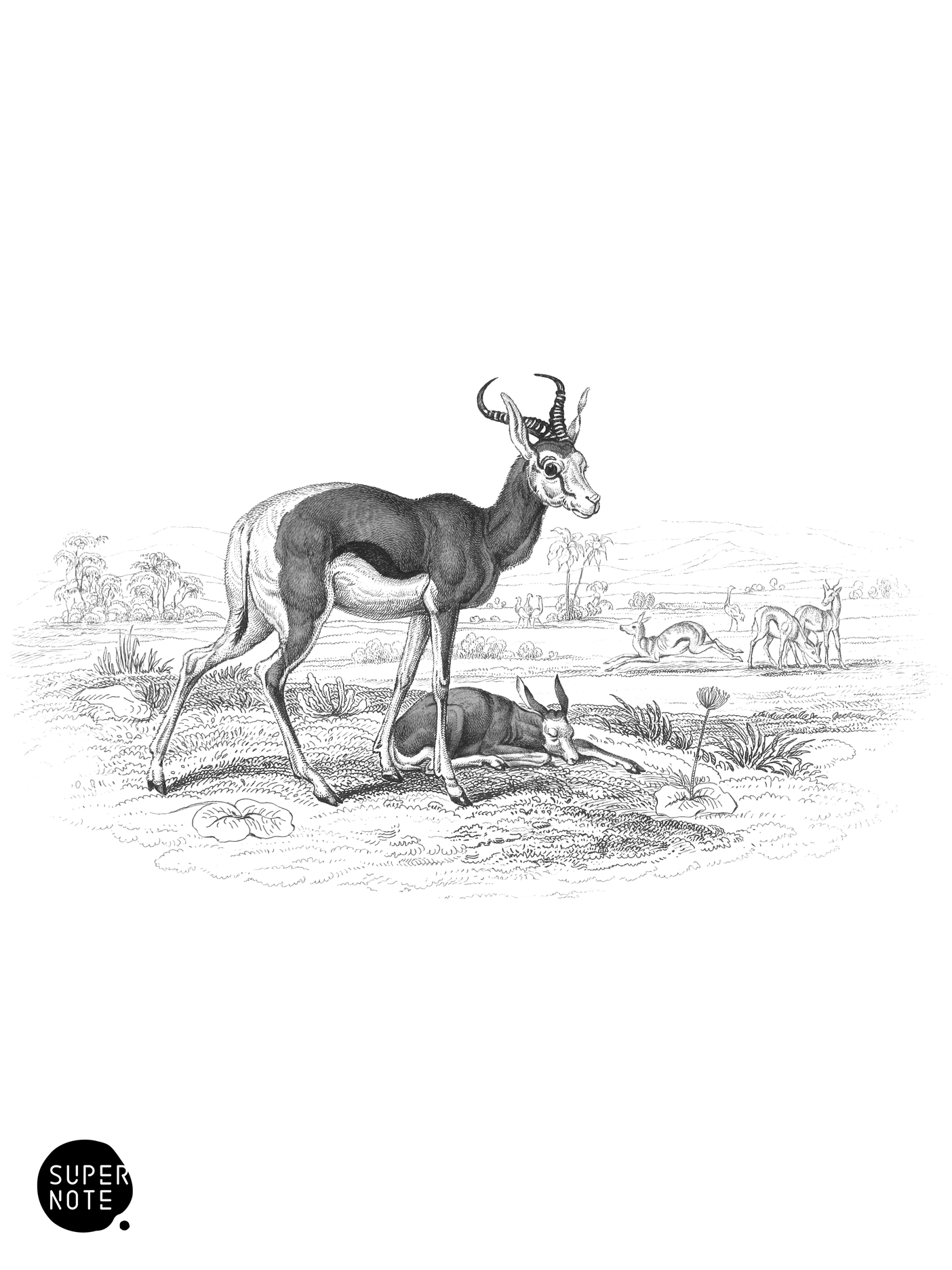 Springer or Springbock (vol-11 plate-27).png