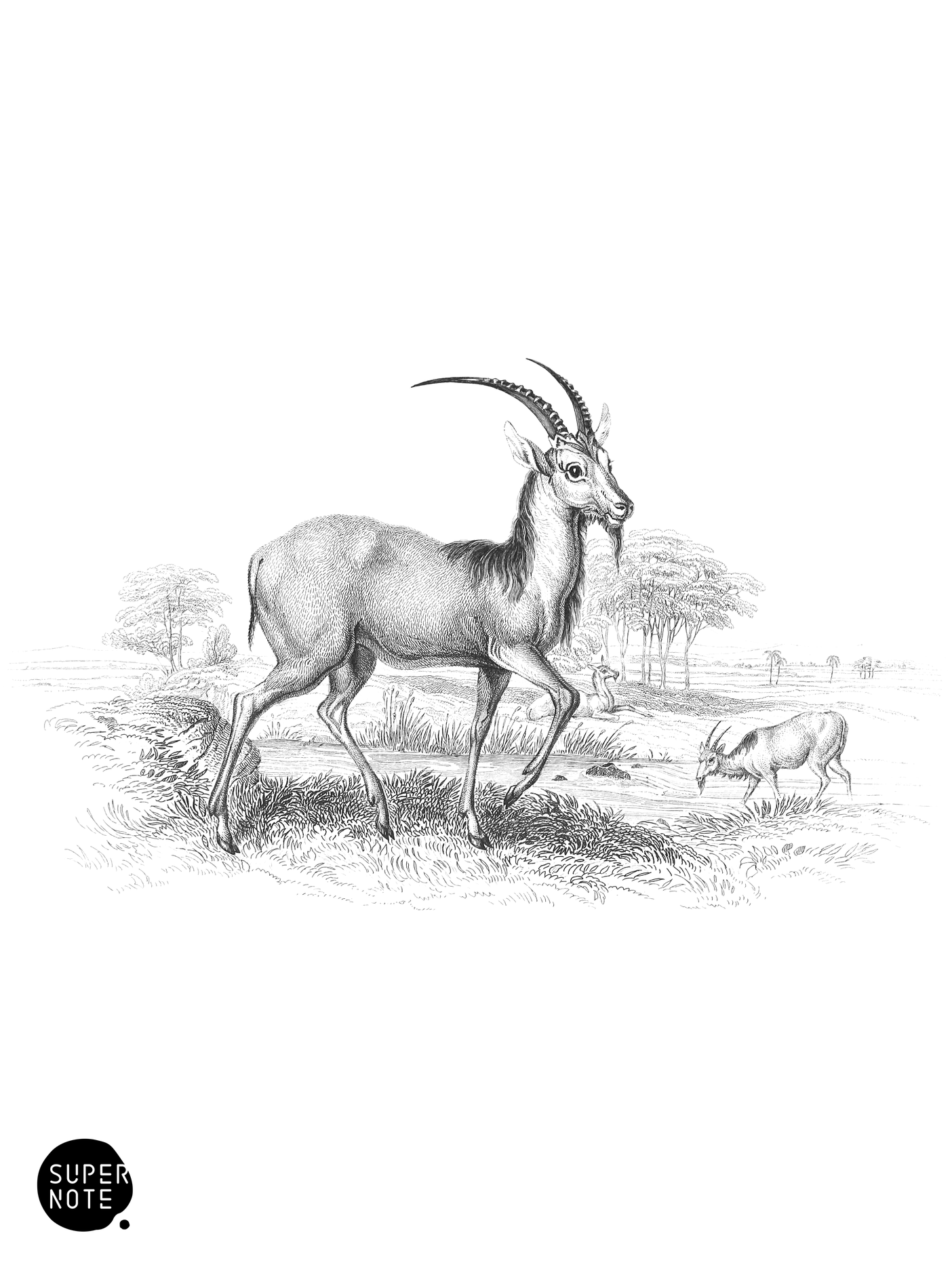 Takhaitze (vol-11 plate-23).png
