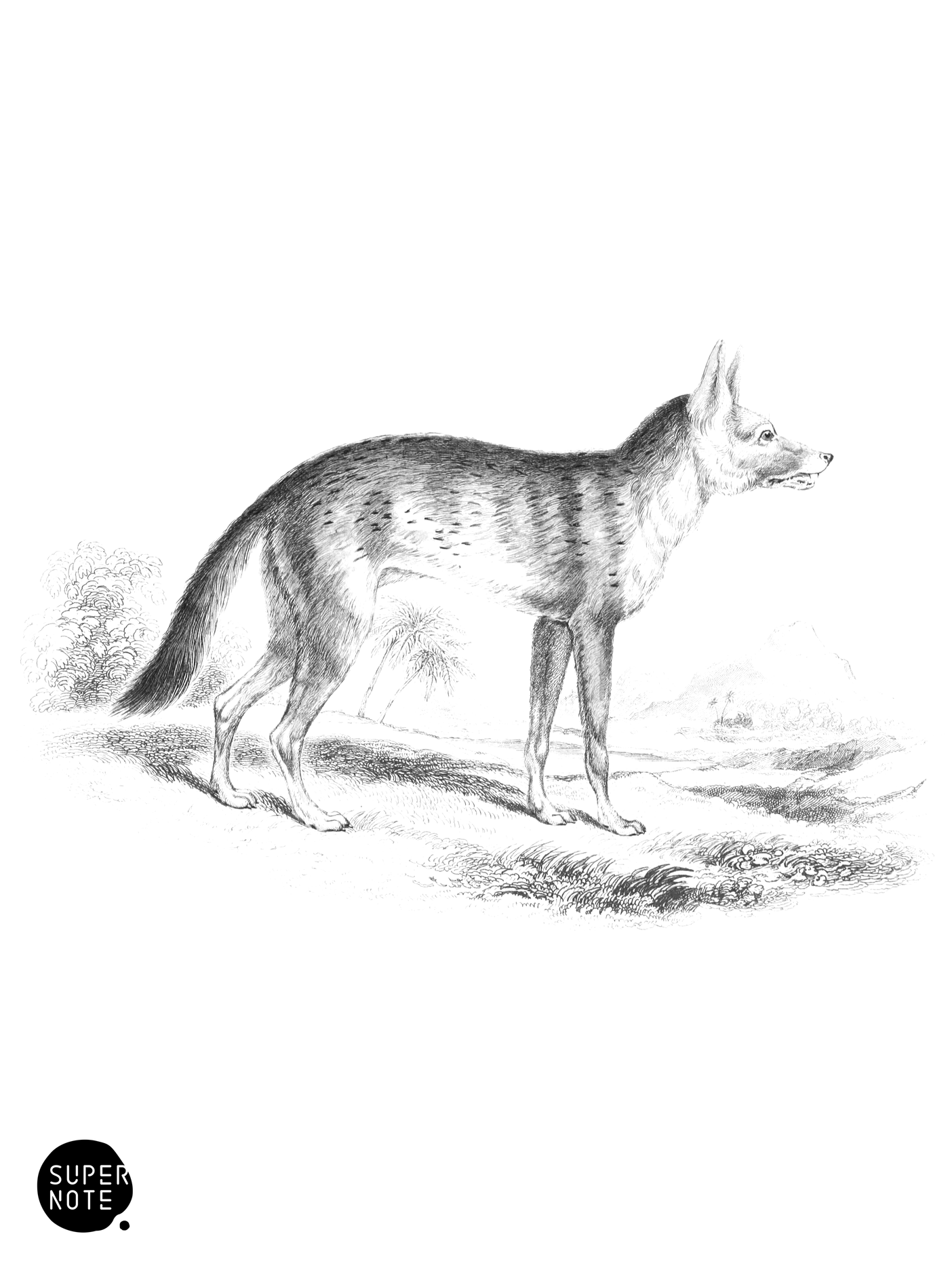 Thous of Nubia (vol-25 plate-11).png