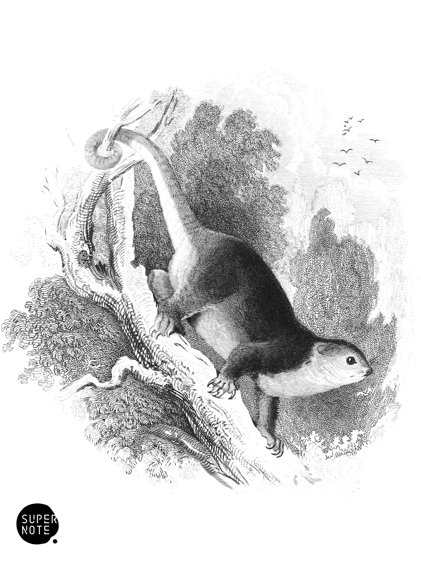 Usine Phalanger (vol-30 vignette).png