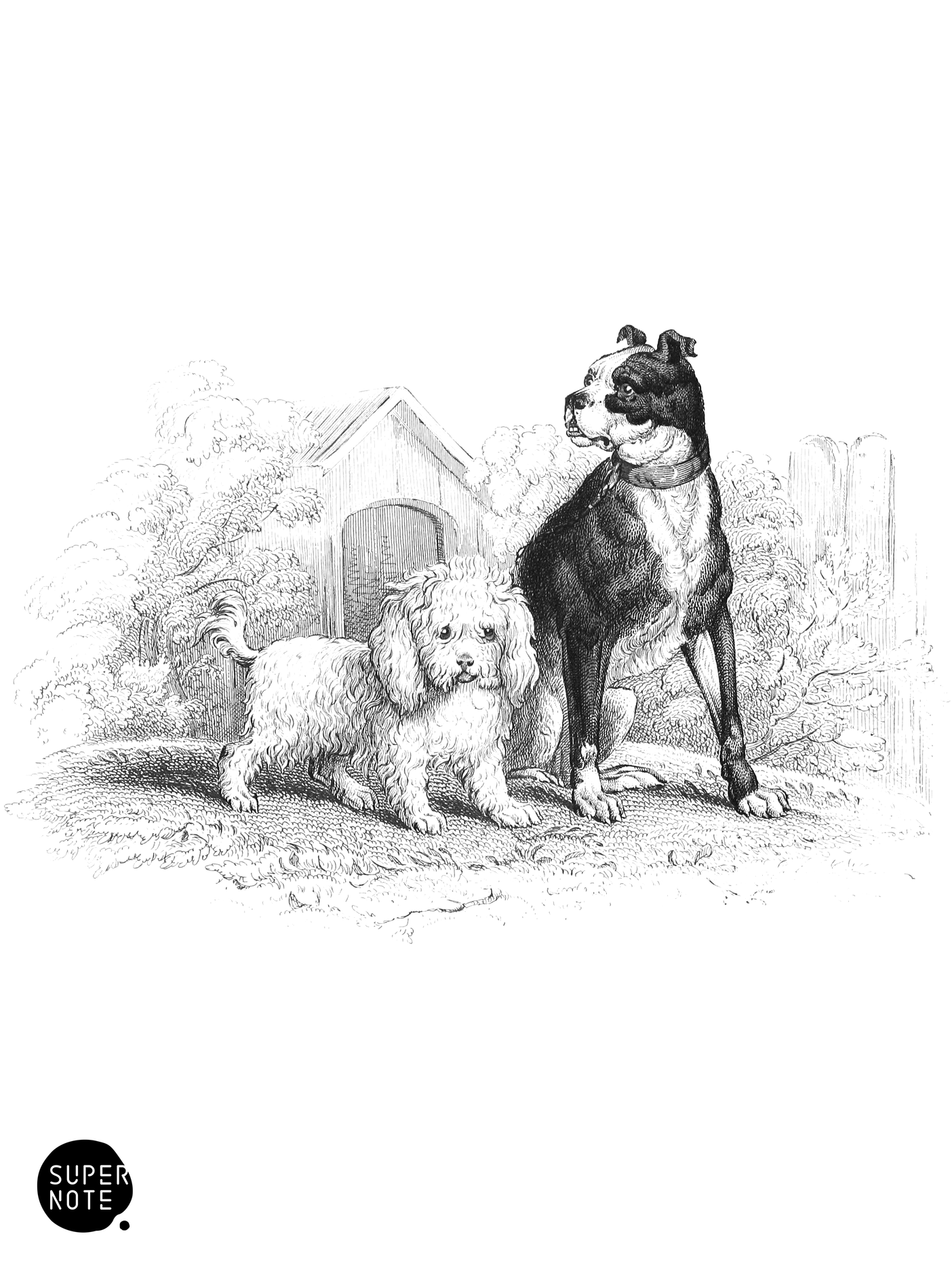 Water-Dog & Bull-Dog (vol-28 plate-20).png