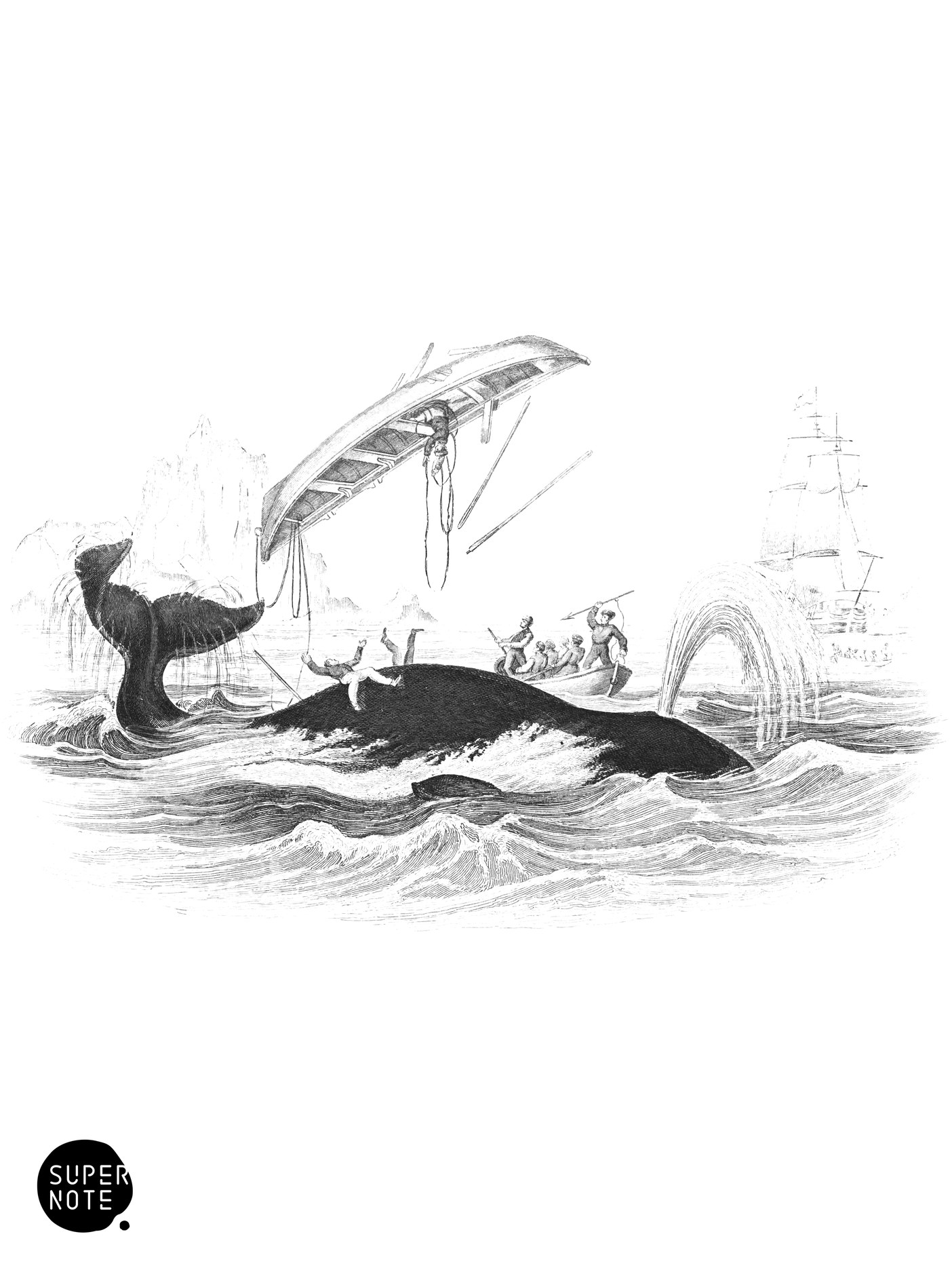 Whale upsetting a boat (vol-16 plate-4-star).png
