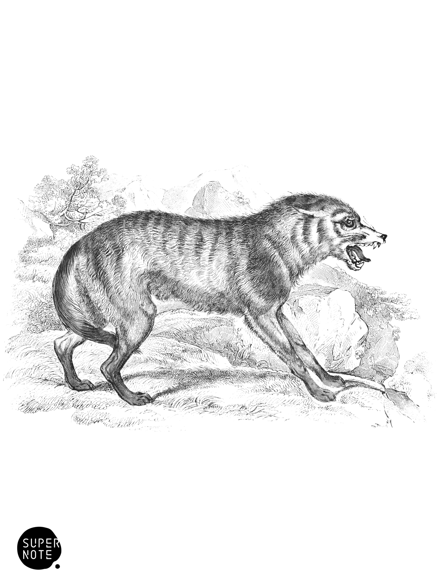 Wolf of Southern States, N. America (vol-25 plate-4).png