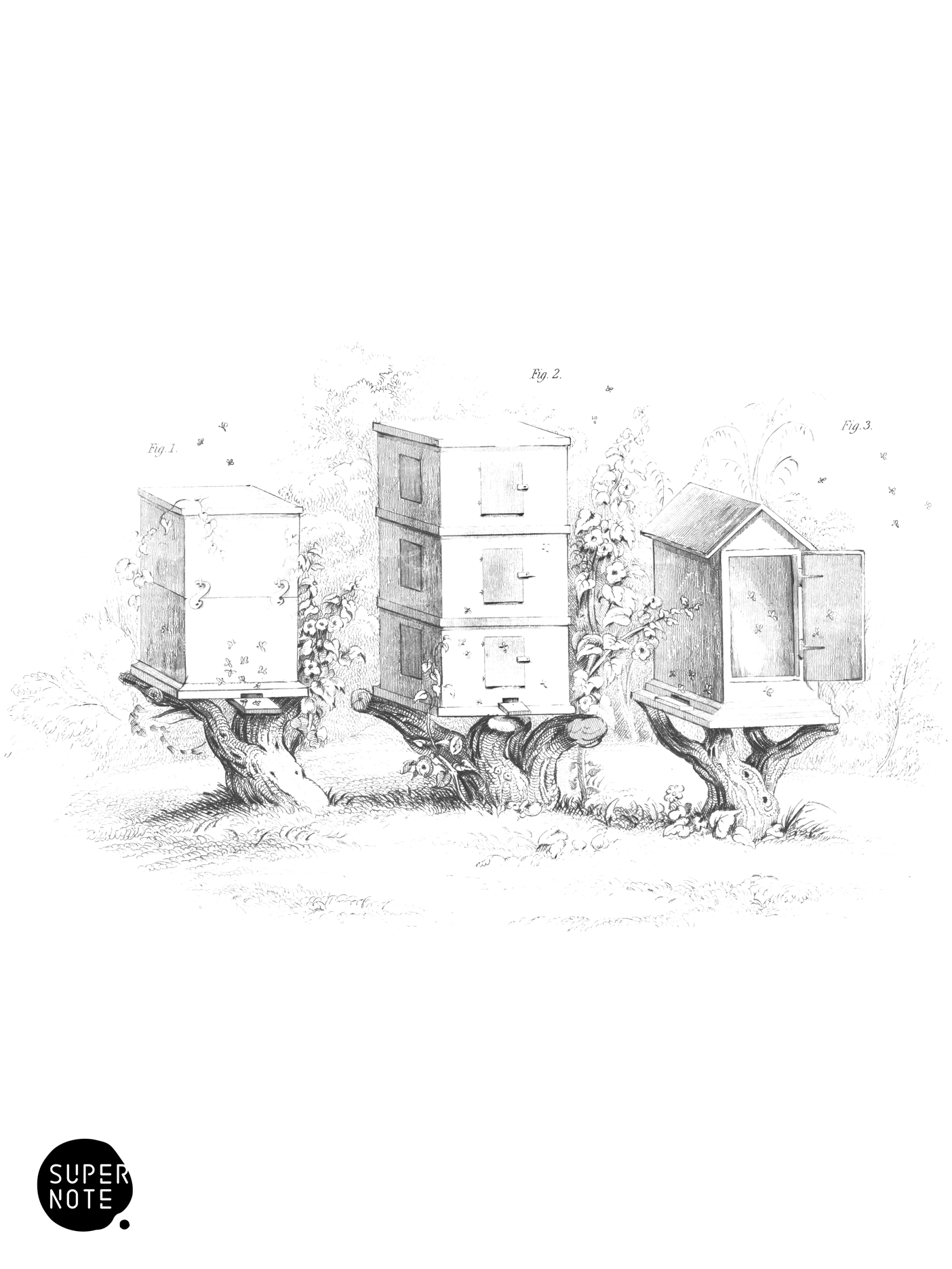 Wooden Hives (vol-26 plate-11).png