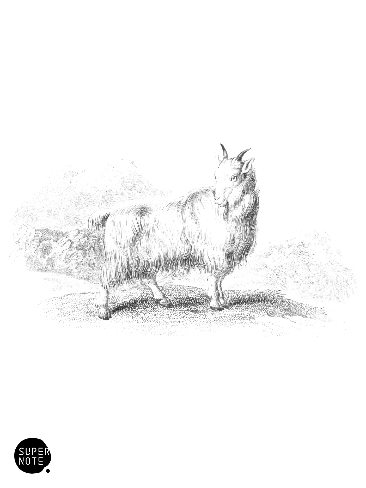 Wool-Bearing Antelope (vol-12 plate-4).png