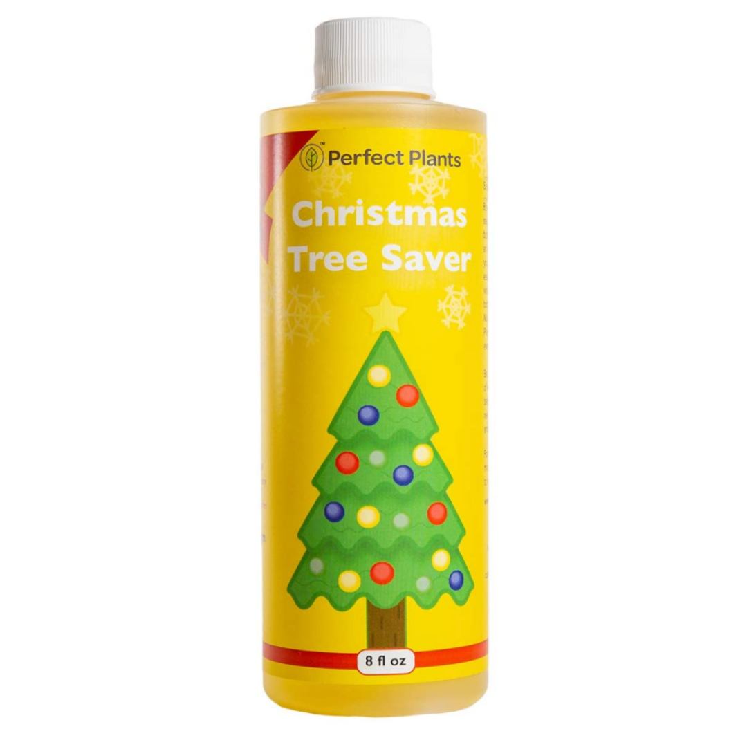 Easy Tips To Keep Your Christmas Tree Shining Bright — Haylie's Dailies