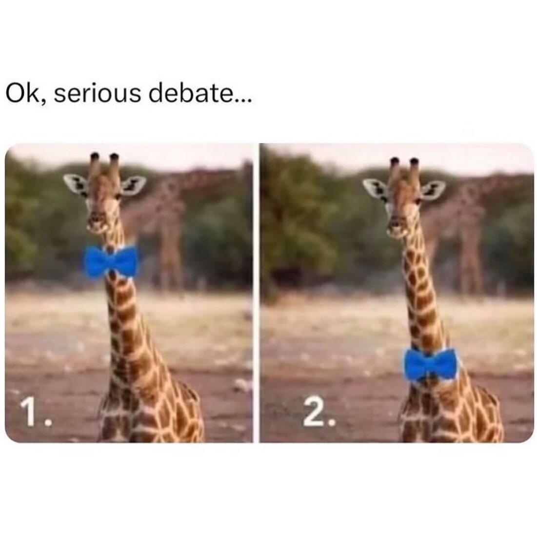 I&rsquo;ve gotta go with 2 on this one. But both look cute?! 🦒👔 1 or 2?!

🎨 | @epic.like.bro | thank you @bhewkin6817 for sending!

#giraffe #puzzle