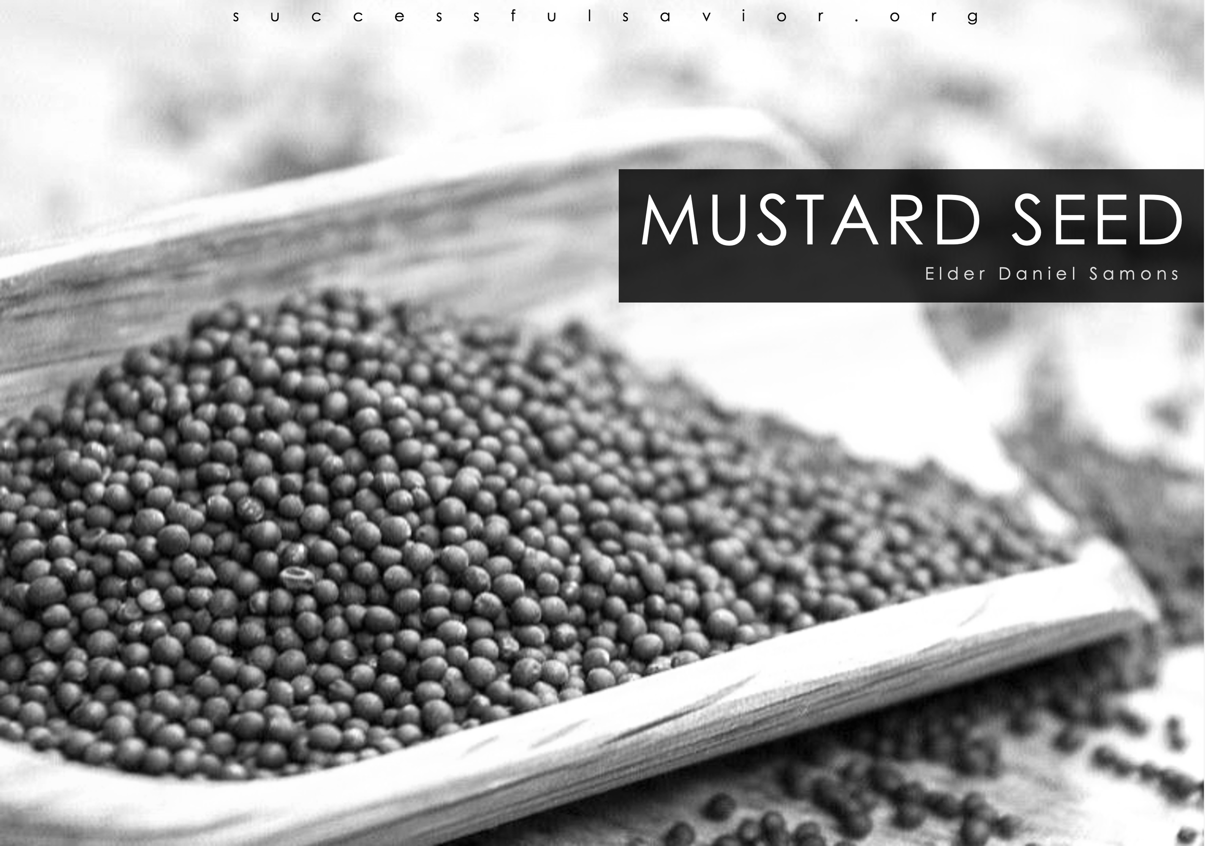 Mustard Seed