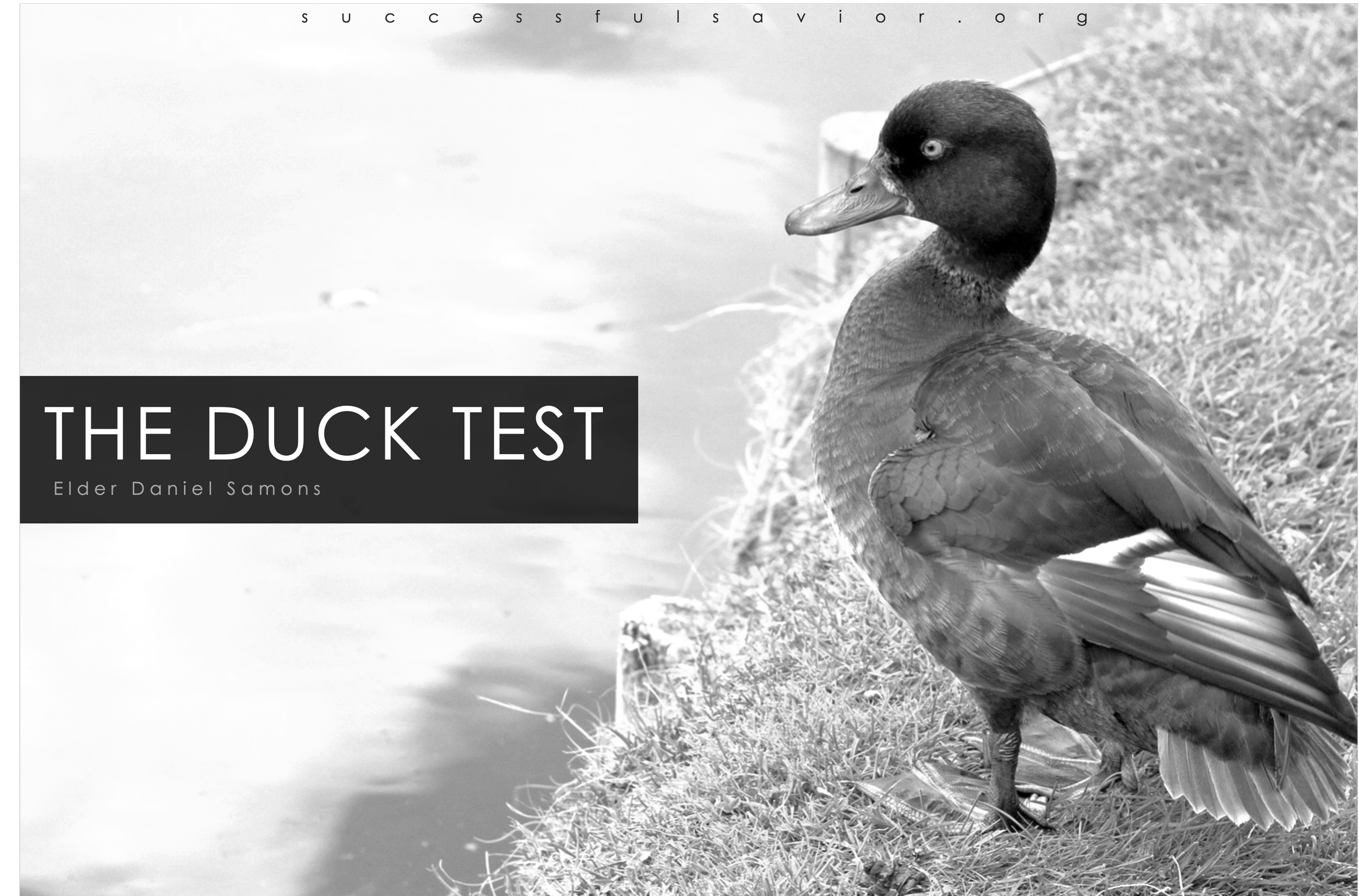 The Duck Test