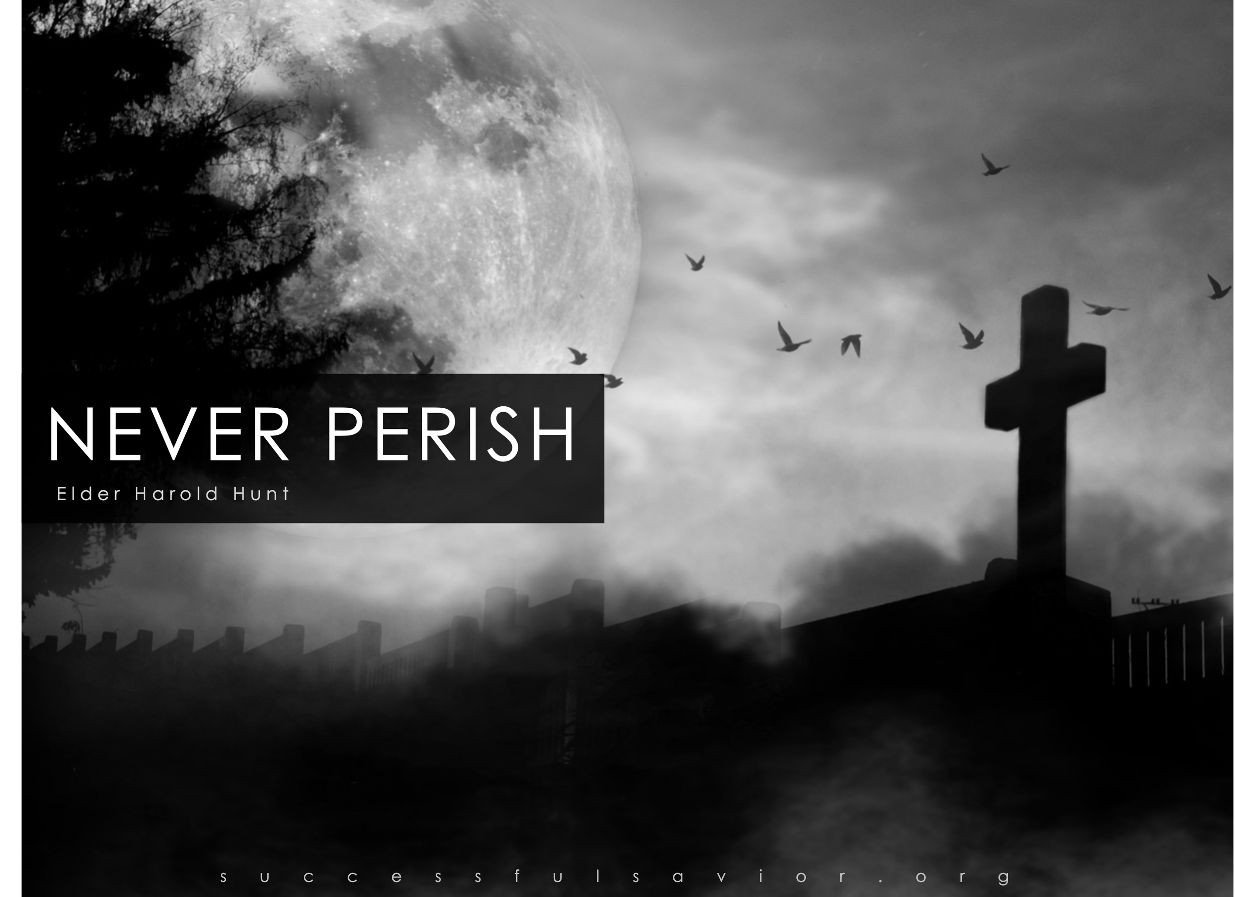 Never Perish