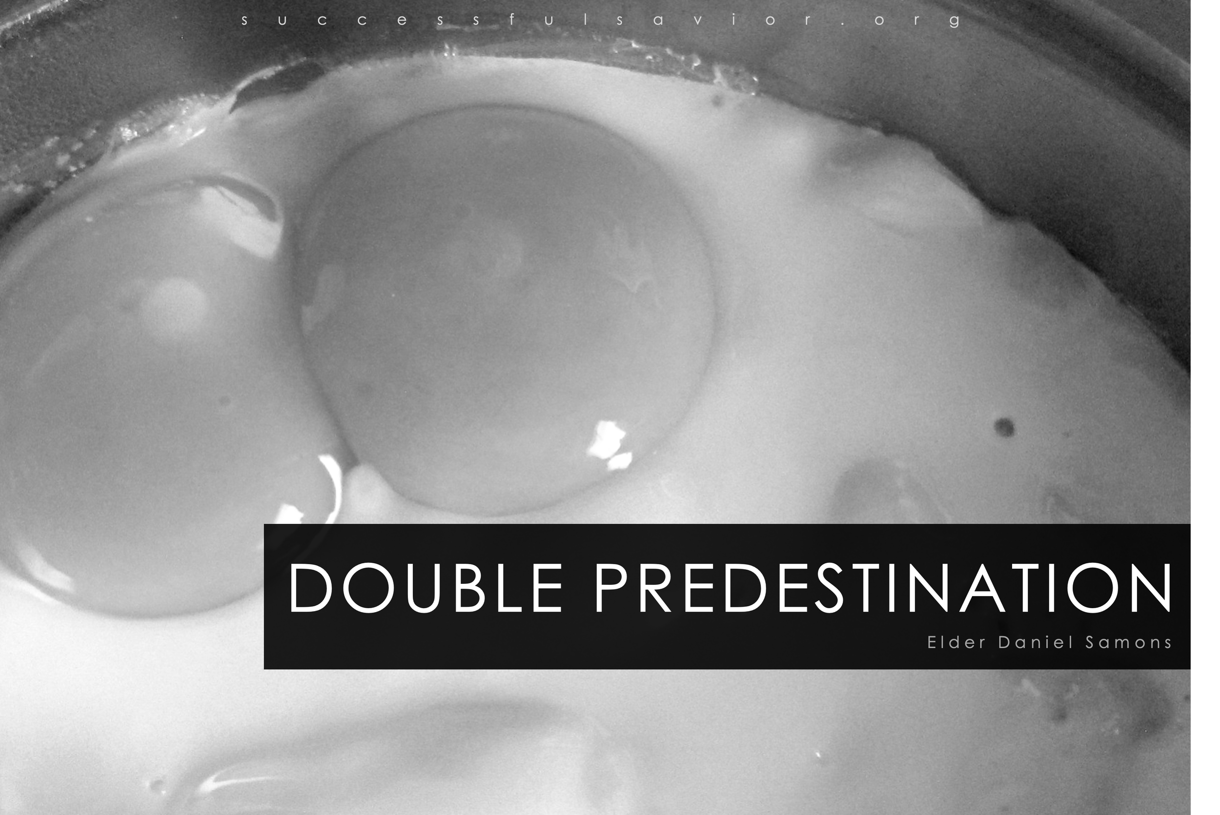 Double Predestination