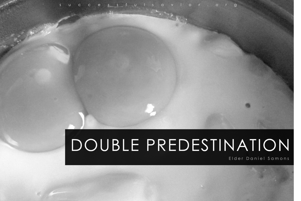 Double Predestination — SUCCESSFULSAVIOR.ORG