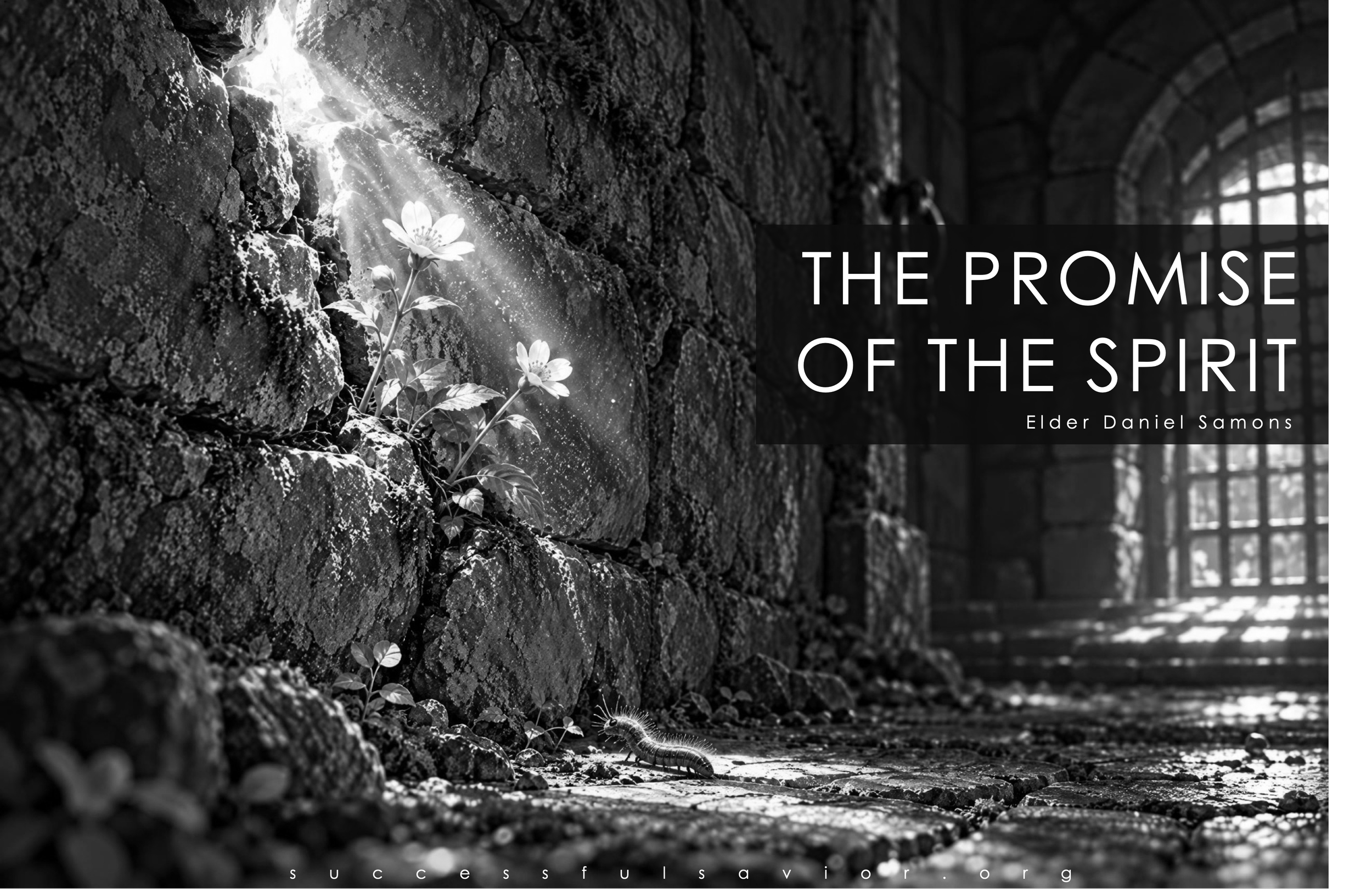 The Promise of the Spirit