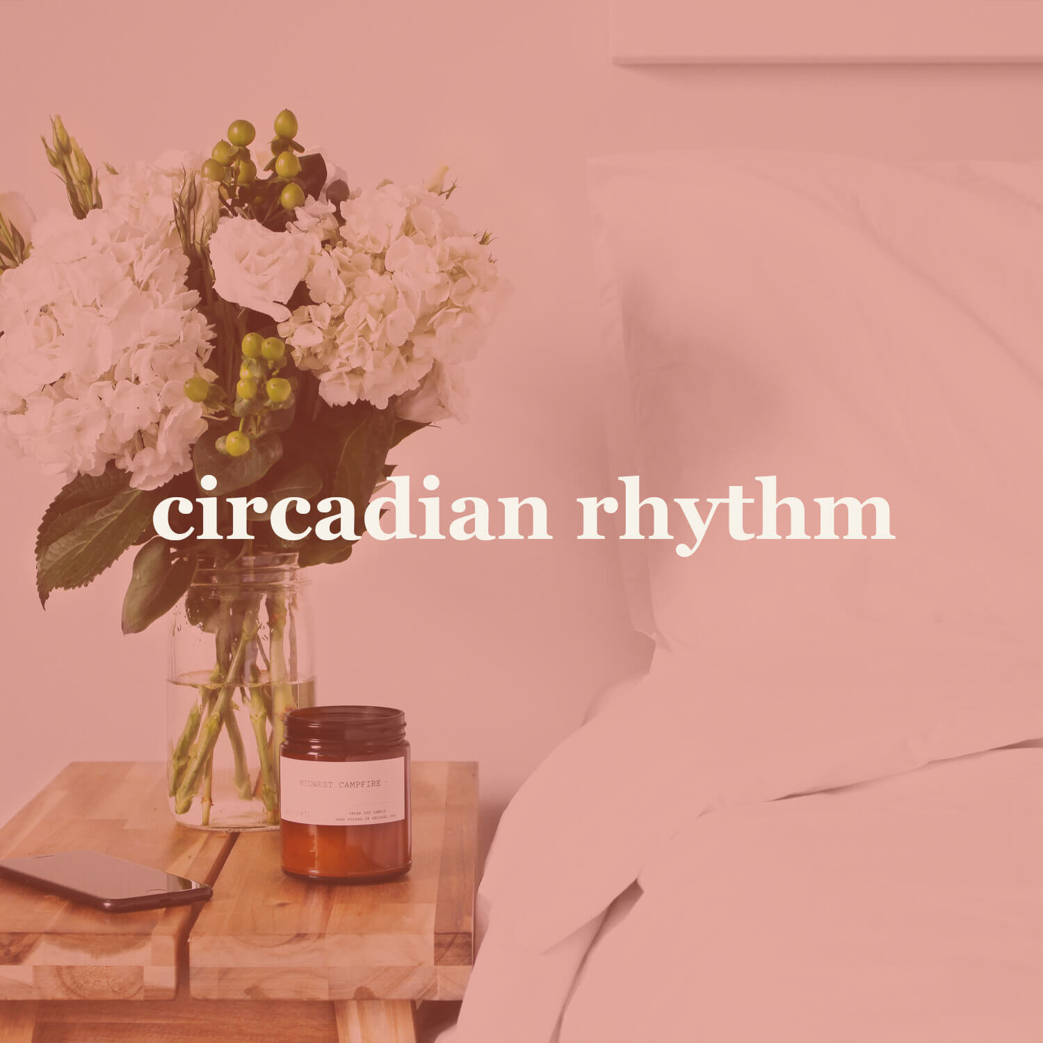 just-be-whole-circadian-rhythm.jpg