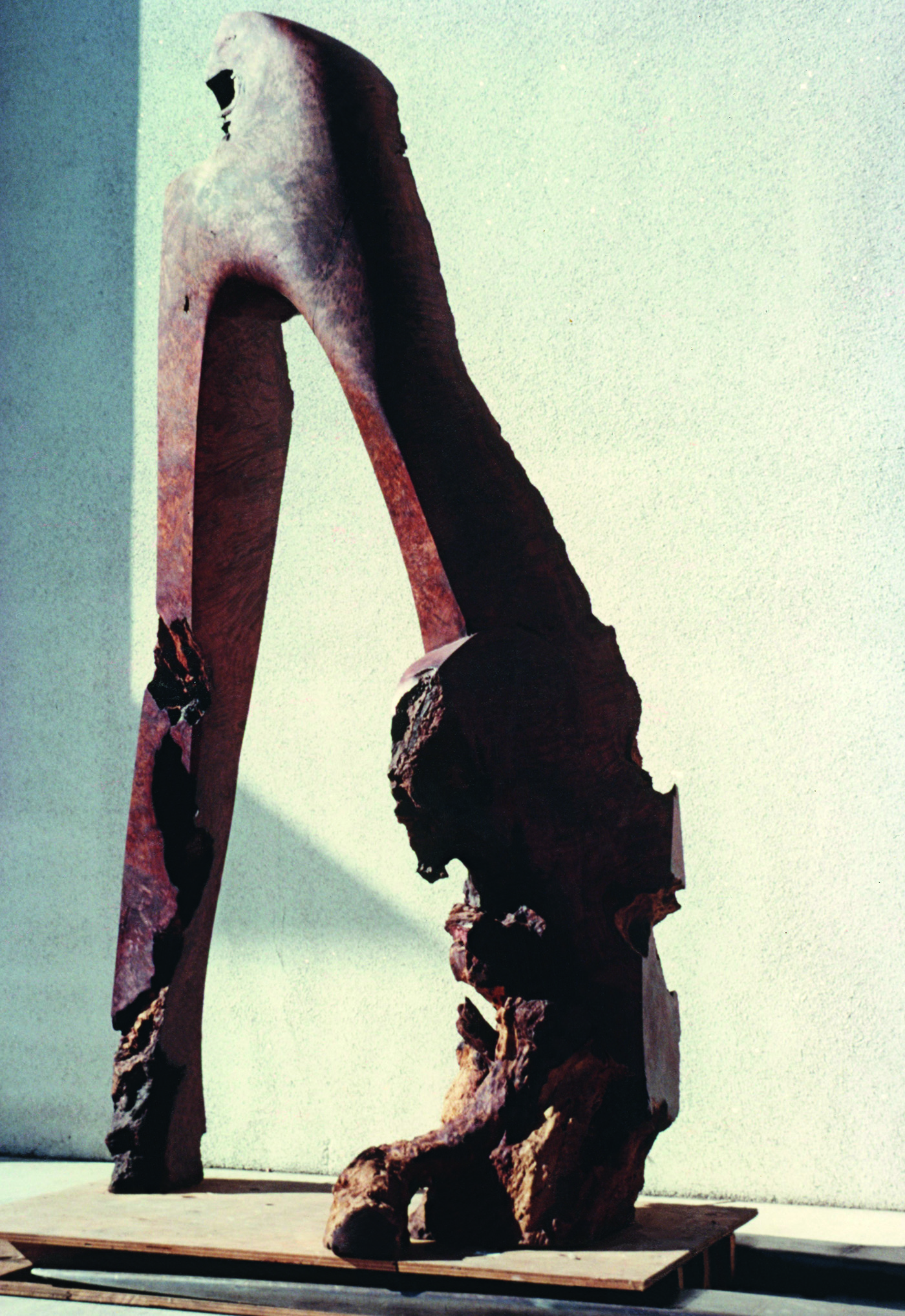   Wishbone (Arch #7),  1977  Redwood burl  114 x 53 x 32 inches  289.56 x 134.62 x 81.28 cm 