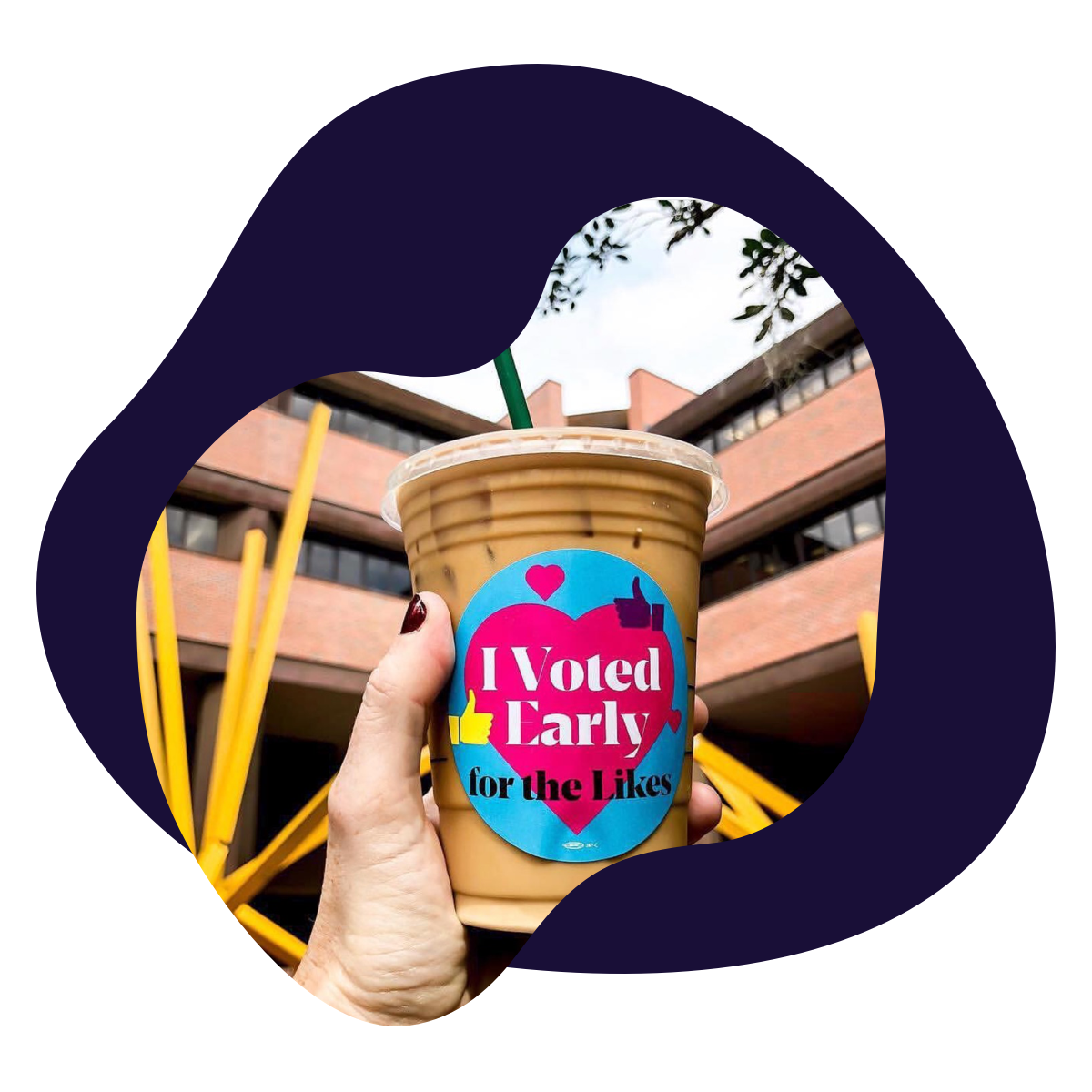 case_studies-case-all_voting_is_local.png