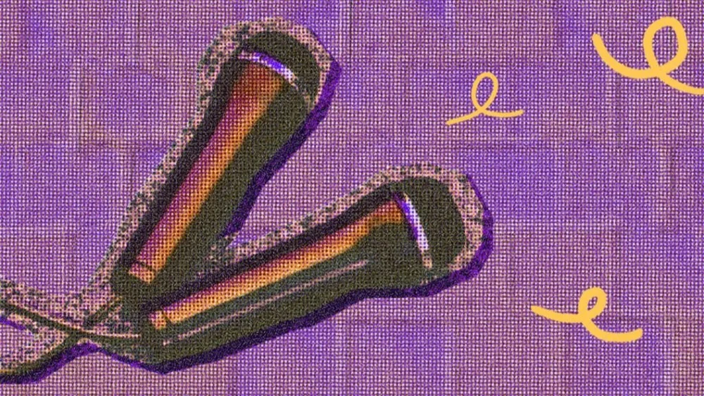 How to Create an Event Management Scope of Work (Template) — Wethos