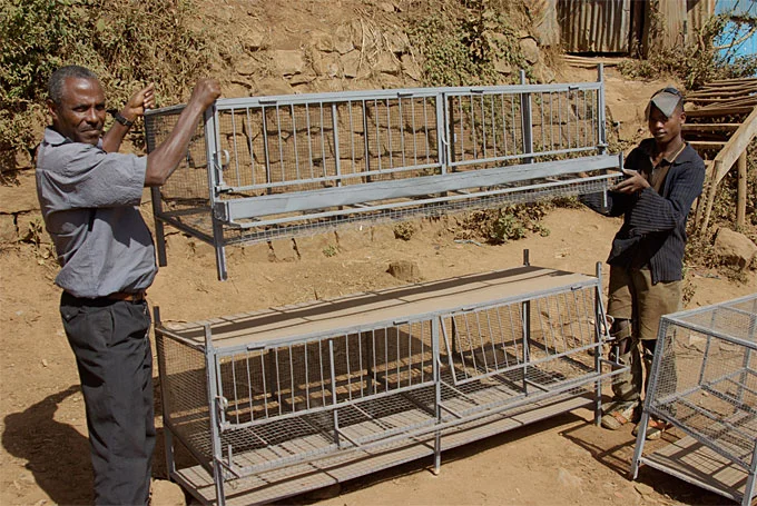 Community members in the city of Kolfe in Addis Ababa, setting up chicken coops