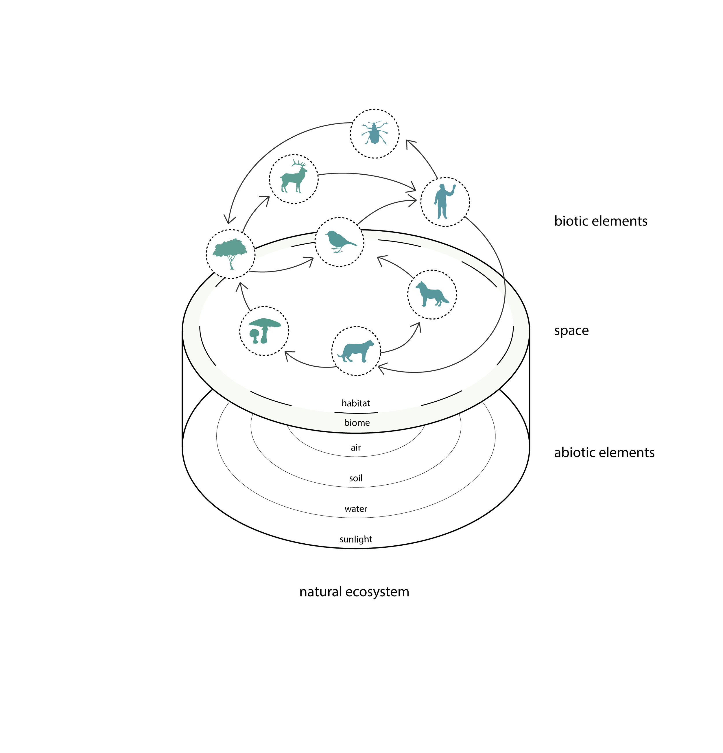 Collaborative_Ecosystem_DIAGRAMS_02-Ecosystem.png