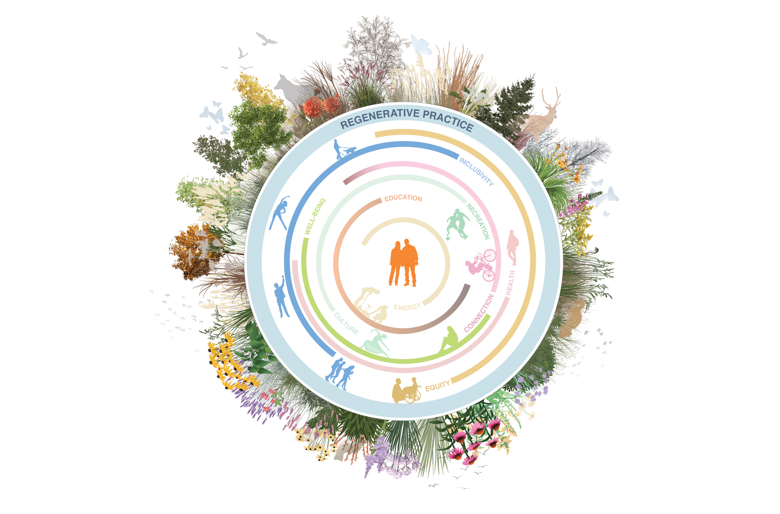 SvN Donut Diagram_3.png