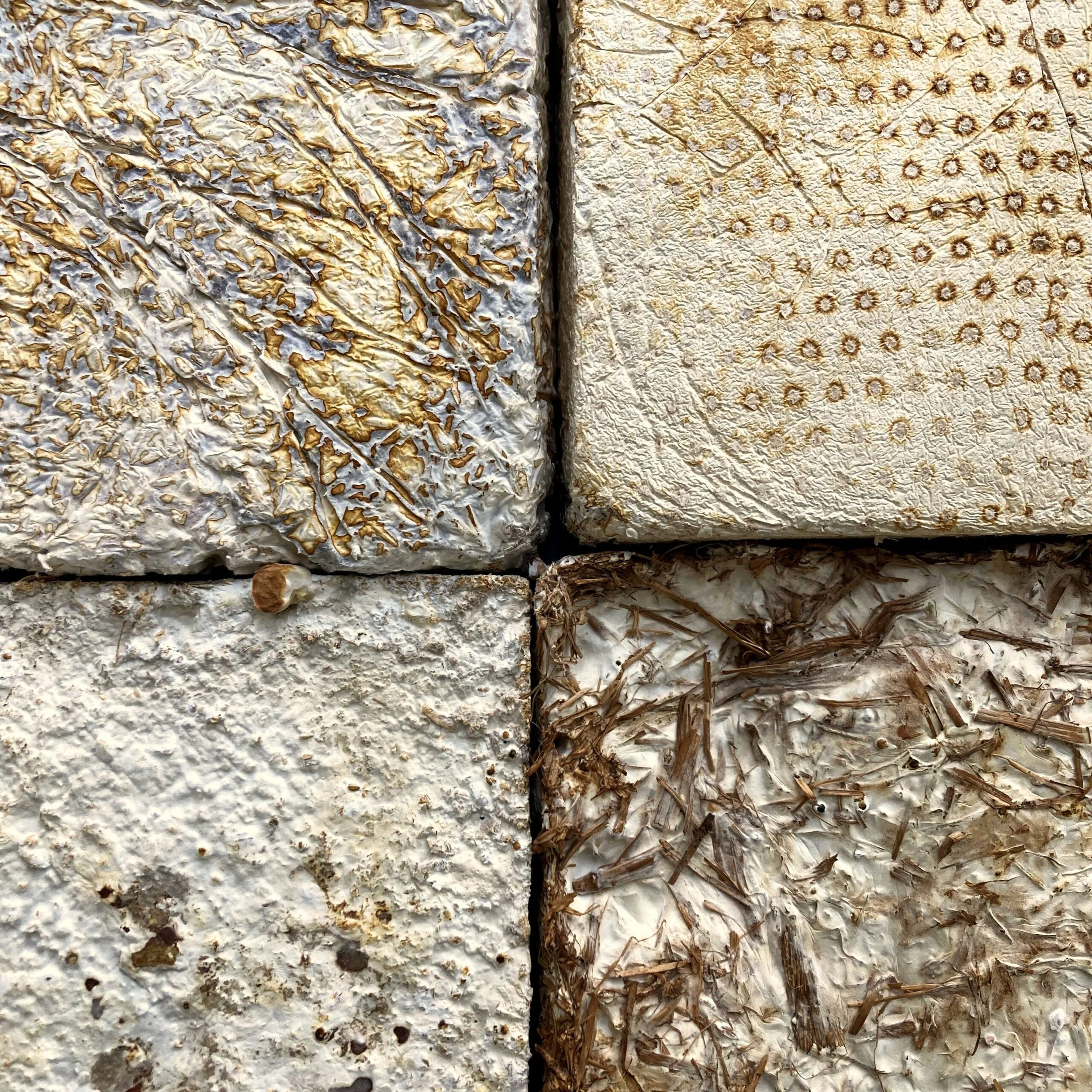 Samples-Mycelium-Material-scaled.jpg