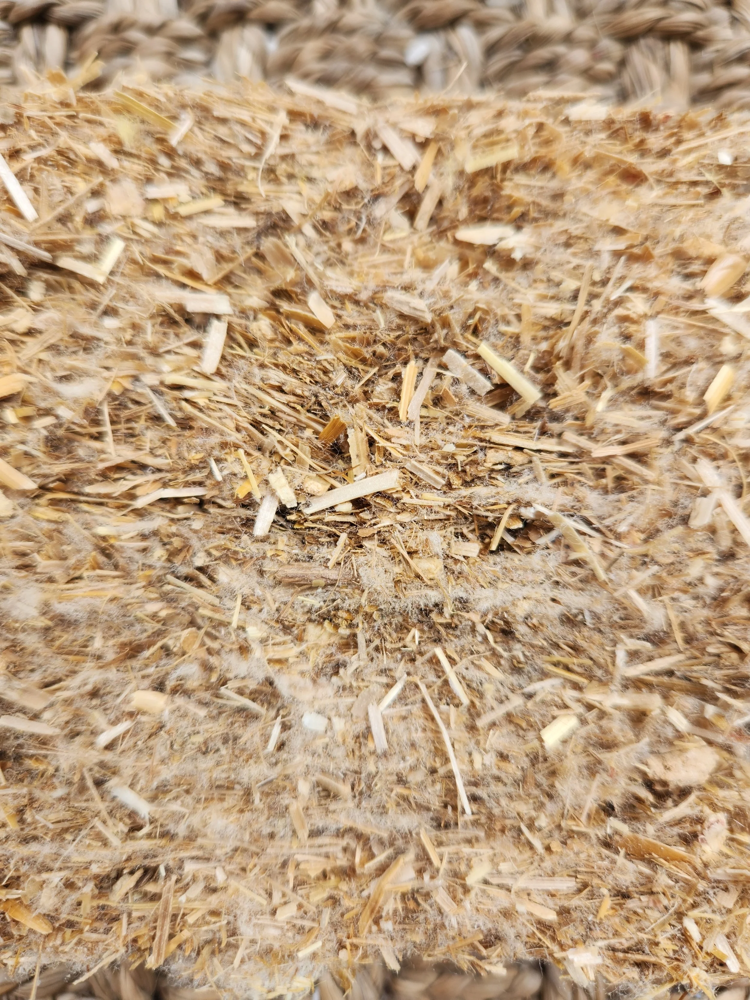Semi-rigid.jpg