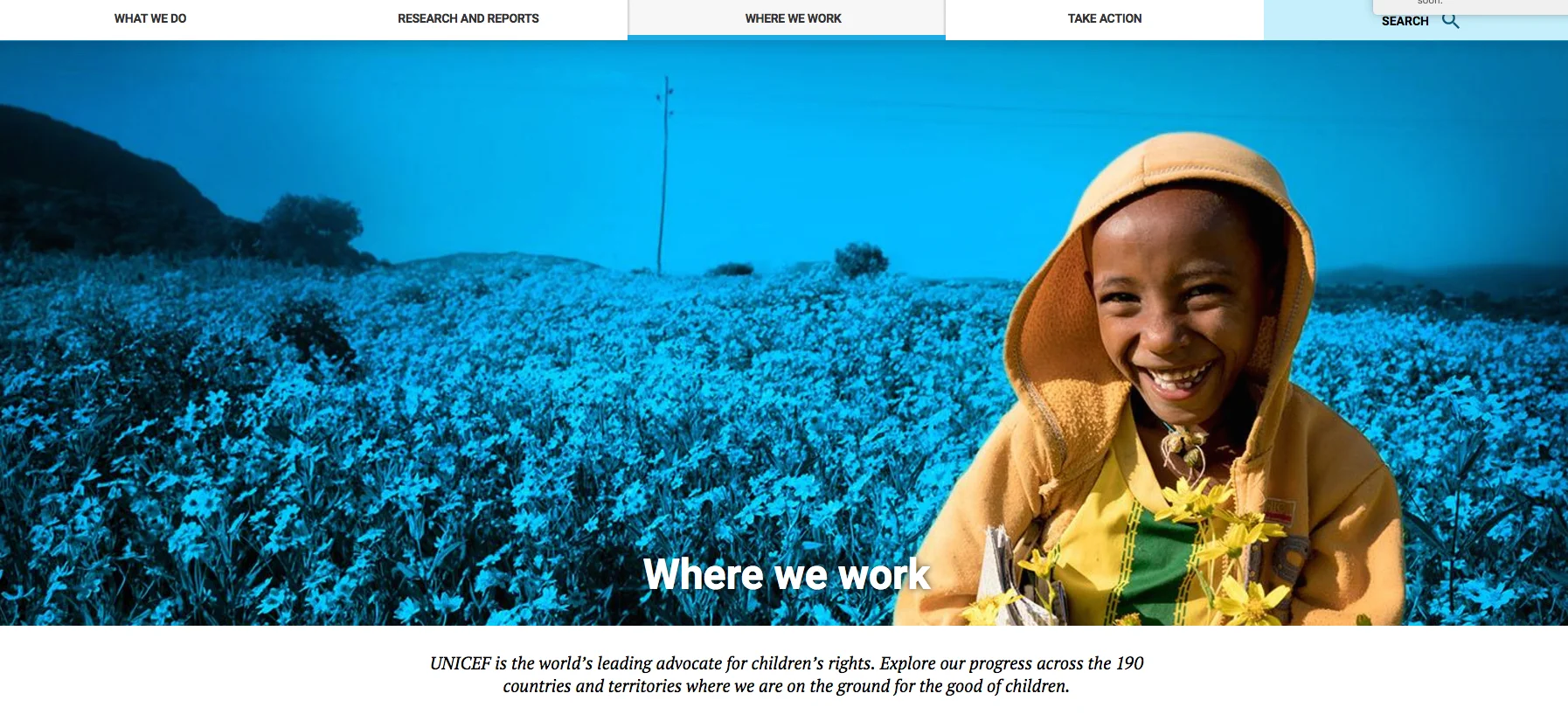    Pages prioritize UNICEF’s mission: helping children around the world.   