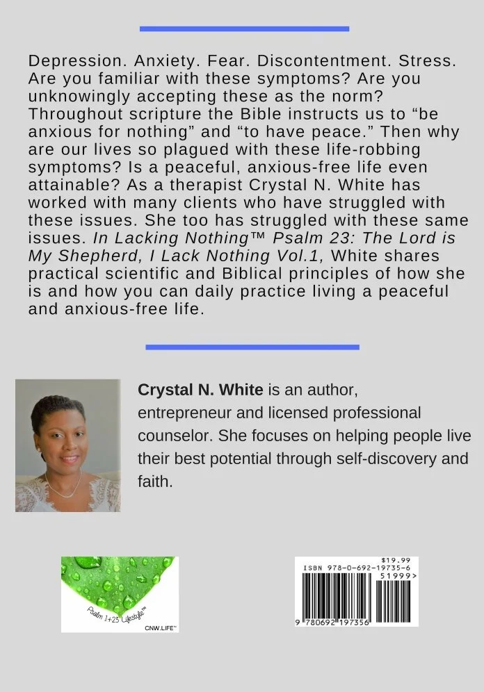Back Cover LN Vol. 1.jpg