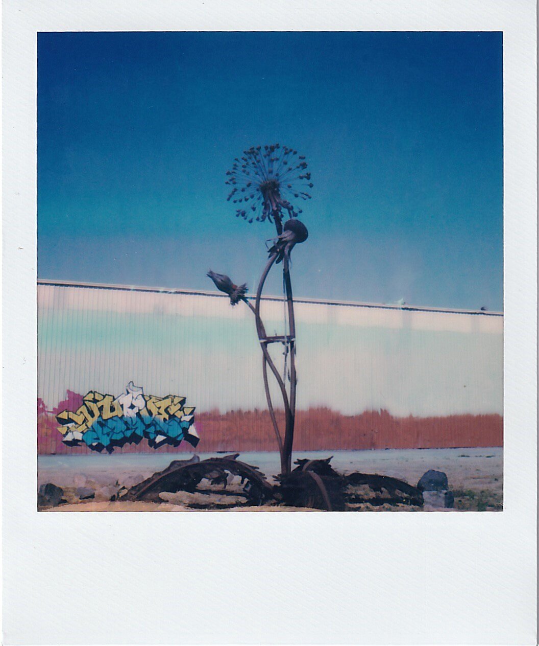 IMG_20180415_0037 3.JPG