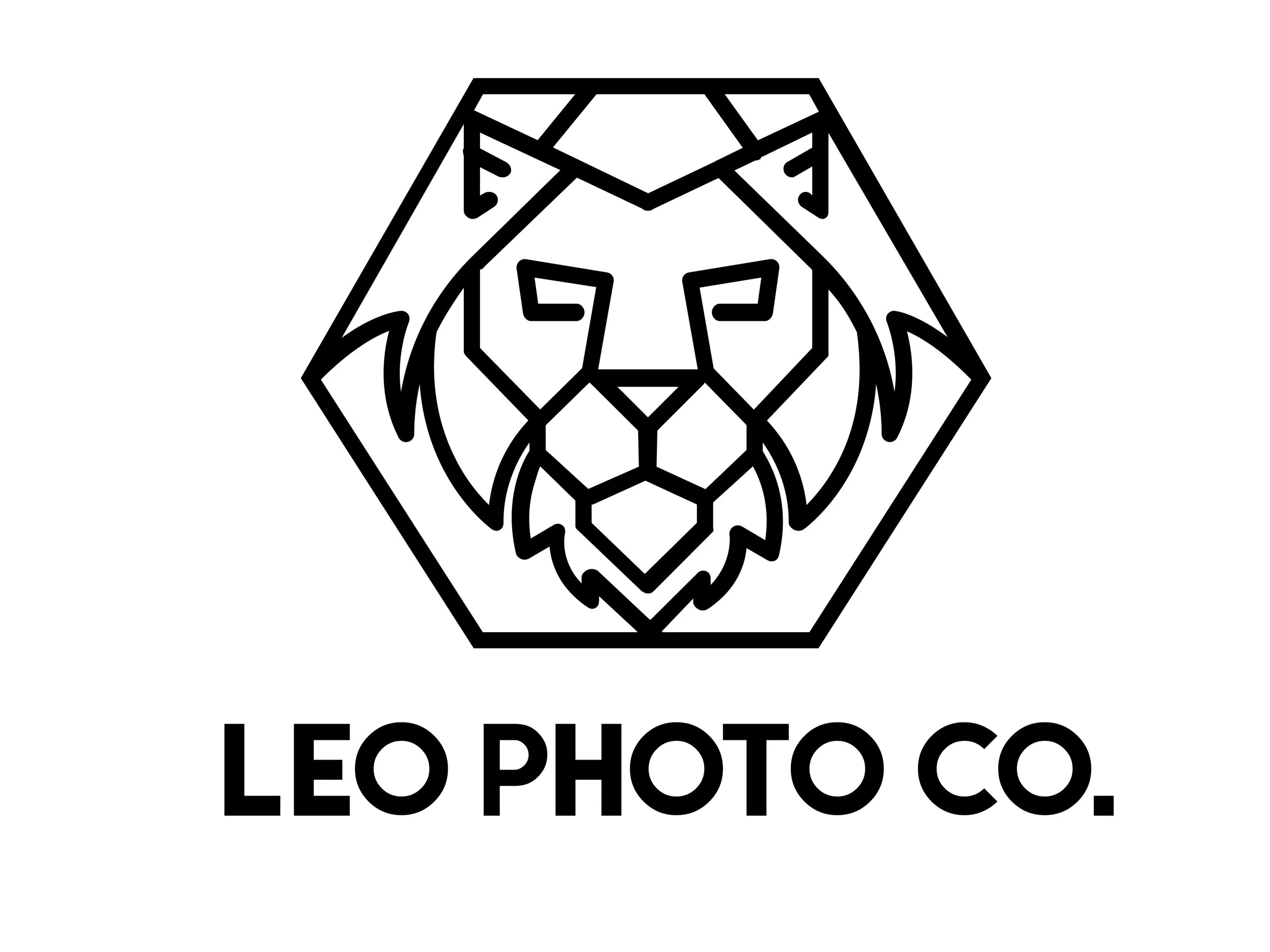 LEO_PhotoCo_LION_Logo_Black_ 02.jpg
