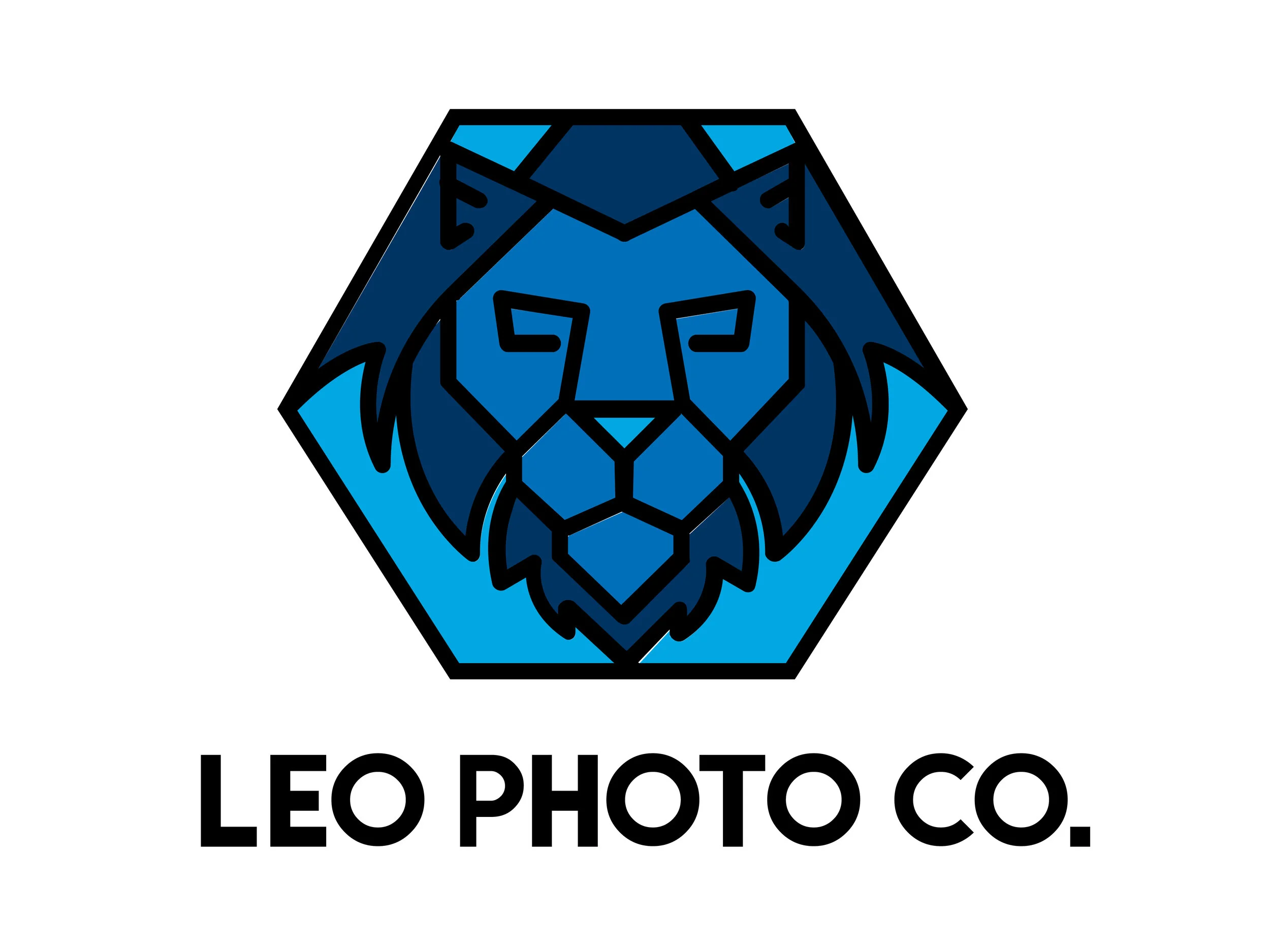 LEO_PhotoCo_LION_Logo_Color-01.jpg
