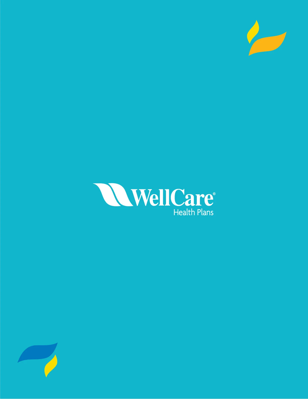 WELL-0202_BrandExploration_MemberHandbook_medicare&medicaid4.jpg