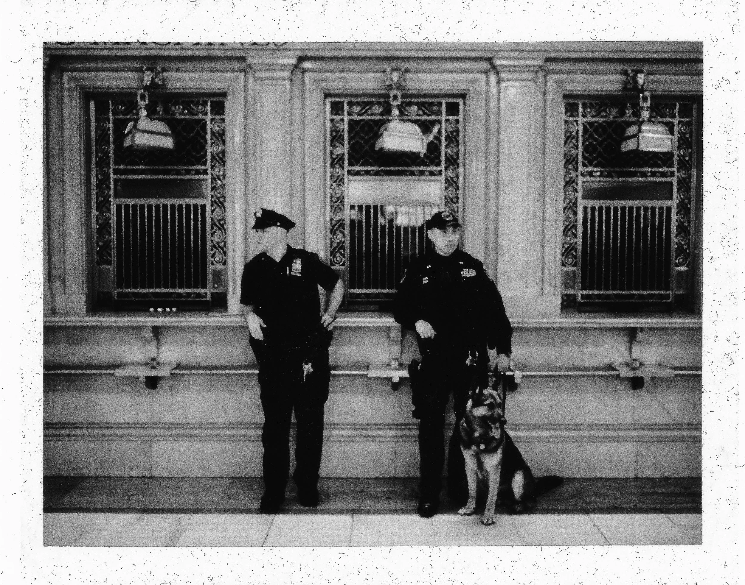 NYPD.jpg
