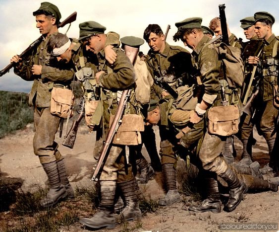The Bloody Price of World War I