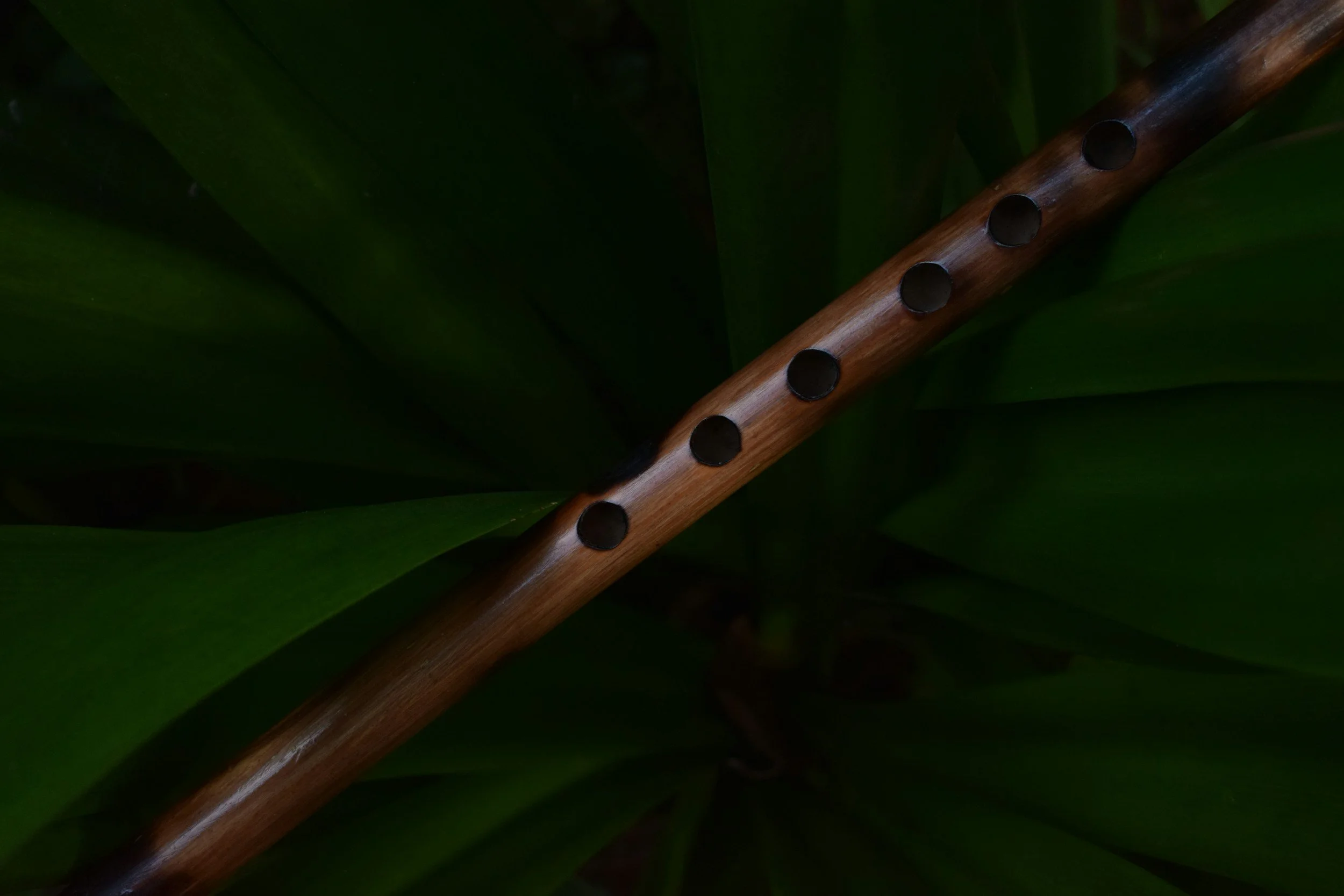 Poem: Oldest Instrument