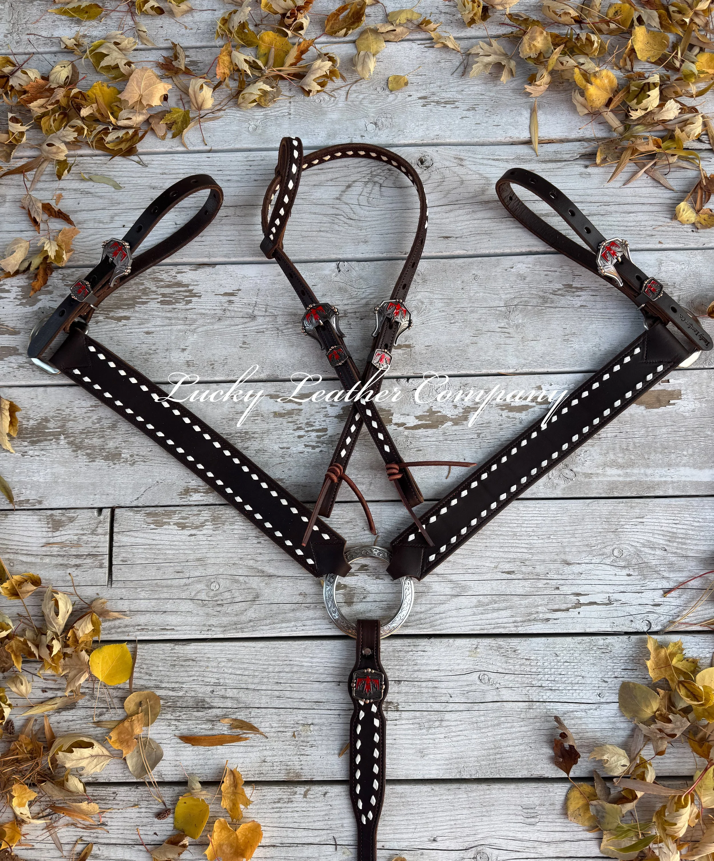 Chocolate & White Thunderbird Set