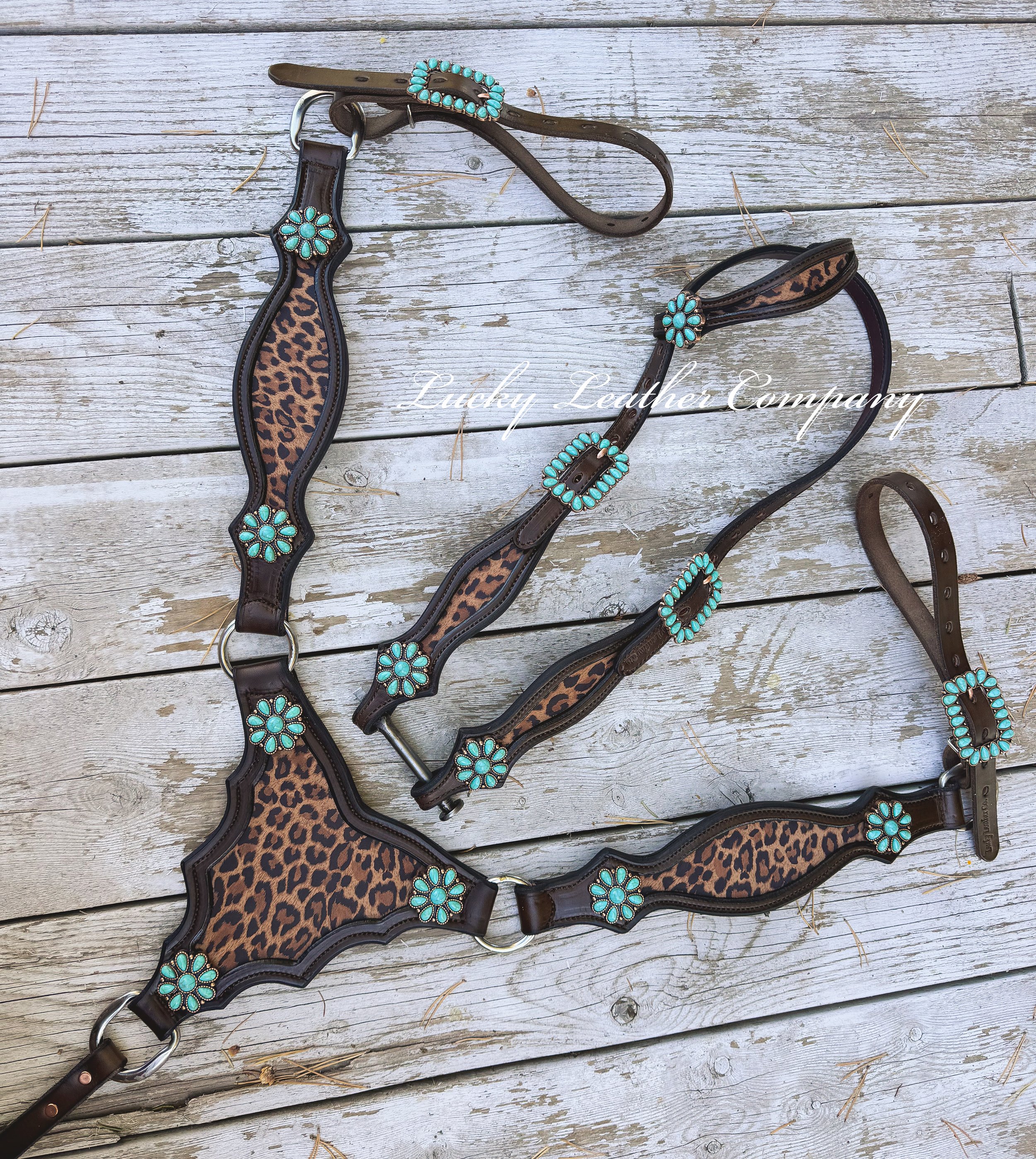 Turquoise & Cheetah Tack Set