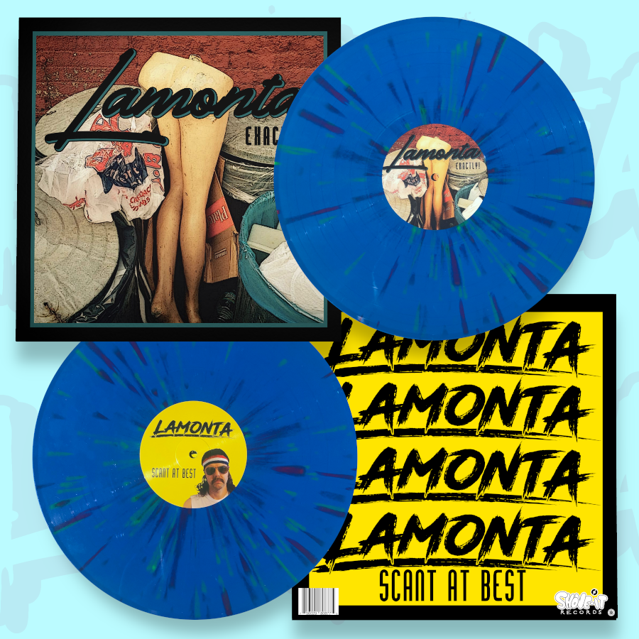 Vinyl Mock Up 2022.png