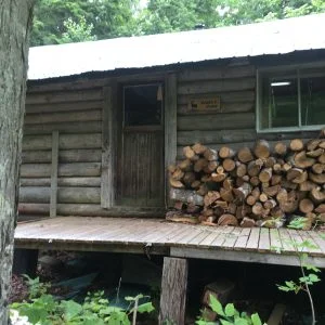 IMG_0881-e1482849672994.jpg