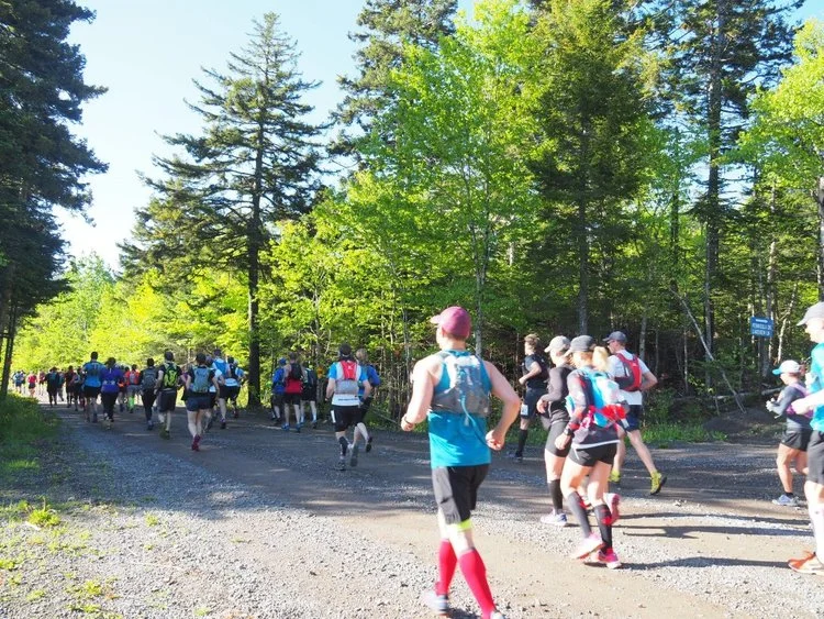 Wascally Wabbit 82k Race Report and Beyond