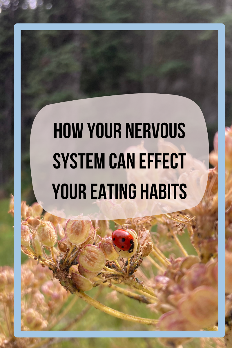 How Your Nervous System Can Effect Your Eating Habits