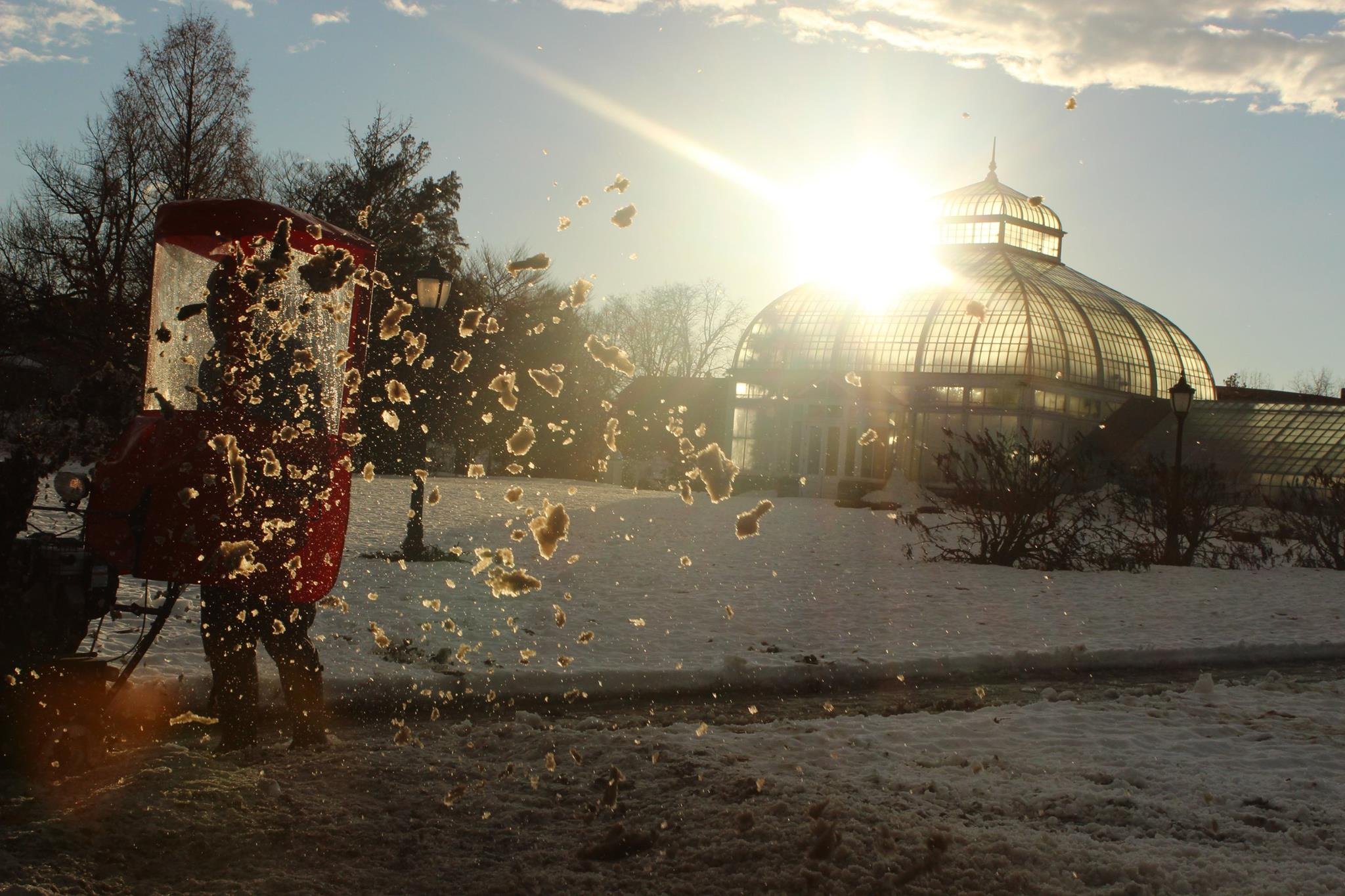 How Buffalo Survives Supercharged Snow